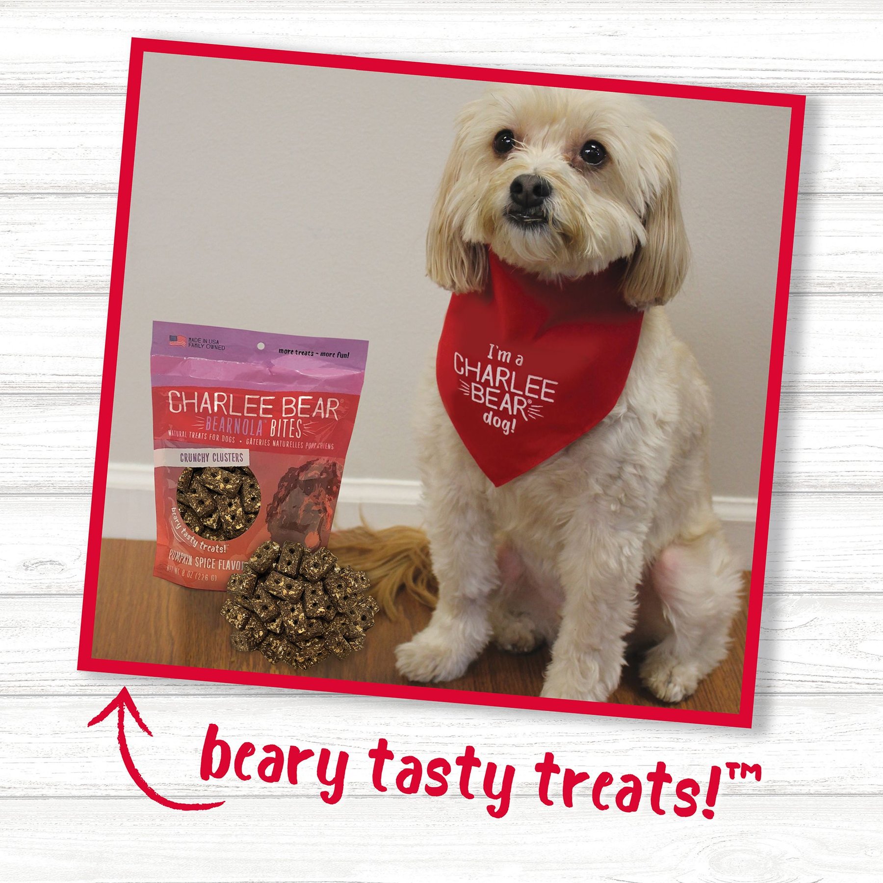 Charlee Bear Bearnola Bites Pumpkin Spice Flavor Dog Treats, 8-oz bag