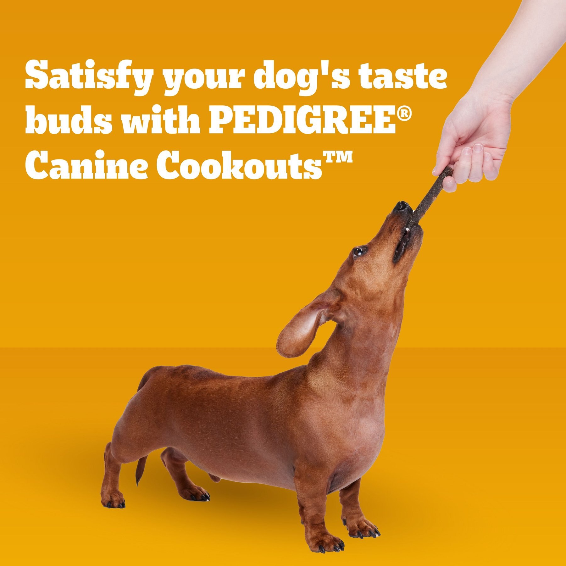 Pedigree Canine Cookout Beef Flavored High-Protein Adult Meaty Sticks Soft Dog Treats
