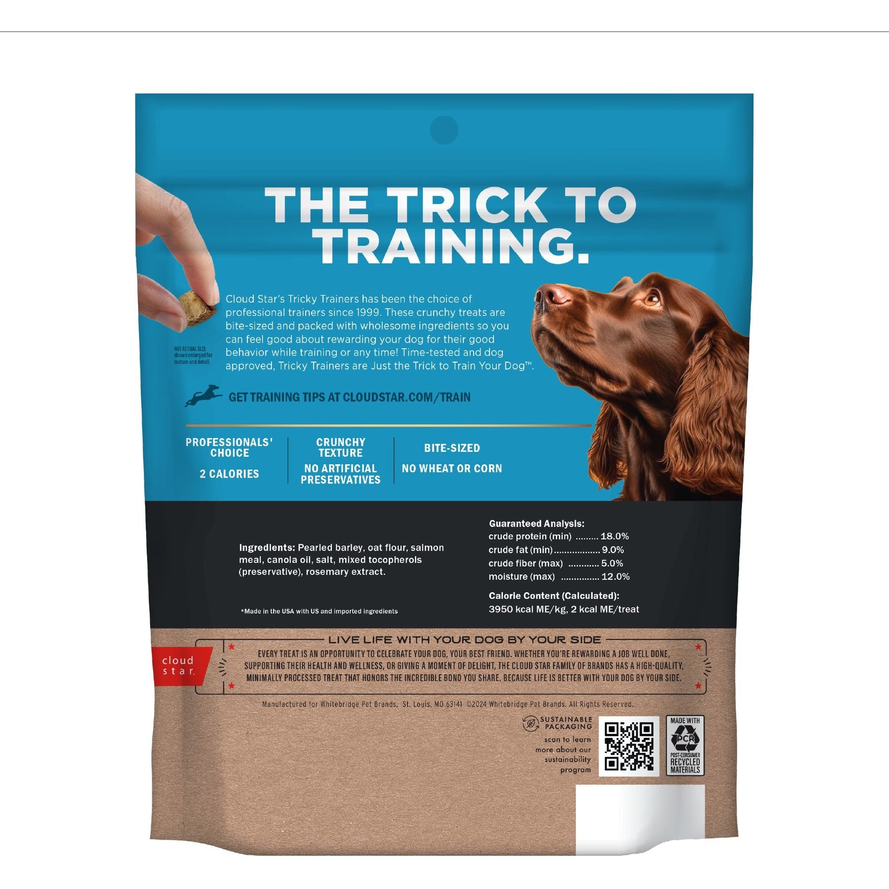 Cloud Star Crunchy Tricky Trainers Salmon Flavor Dog Treats