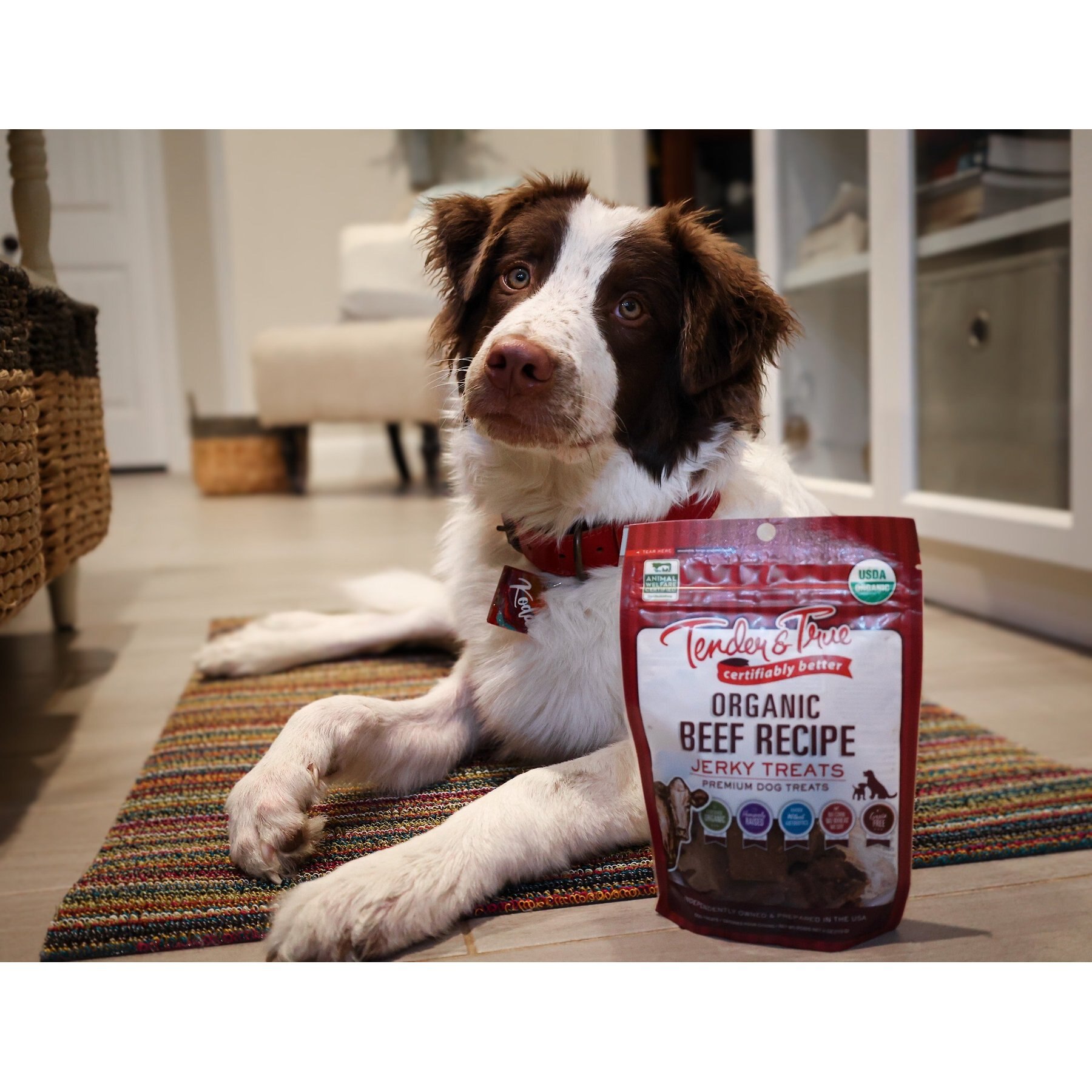 Tender & True Organic Beef Grain-Free Jerky Dog Treats, 4-oz bag