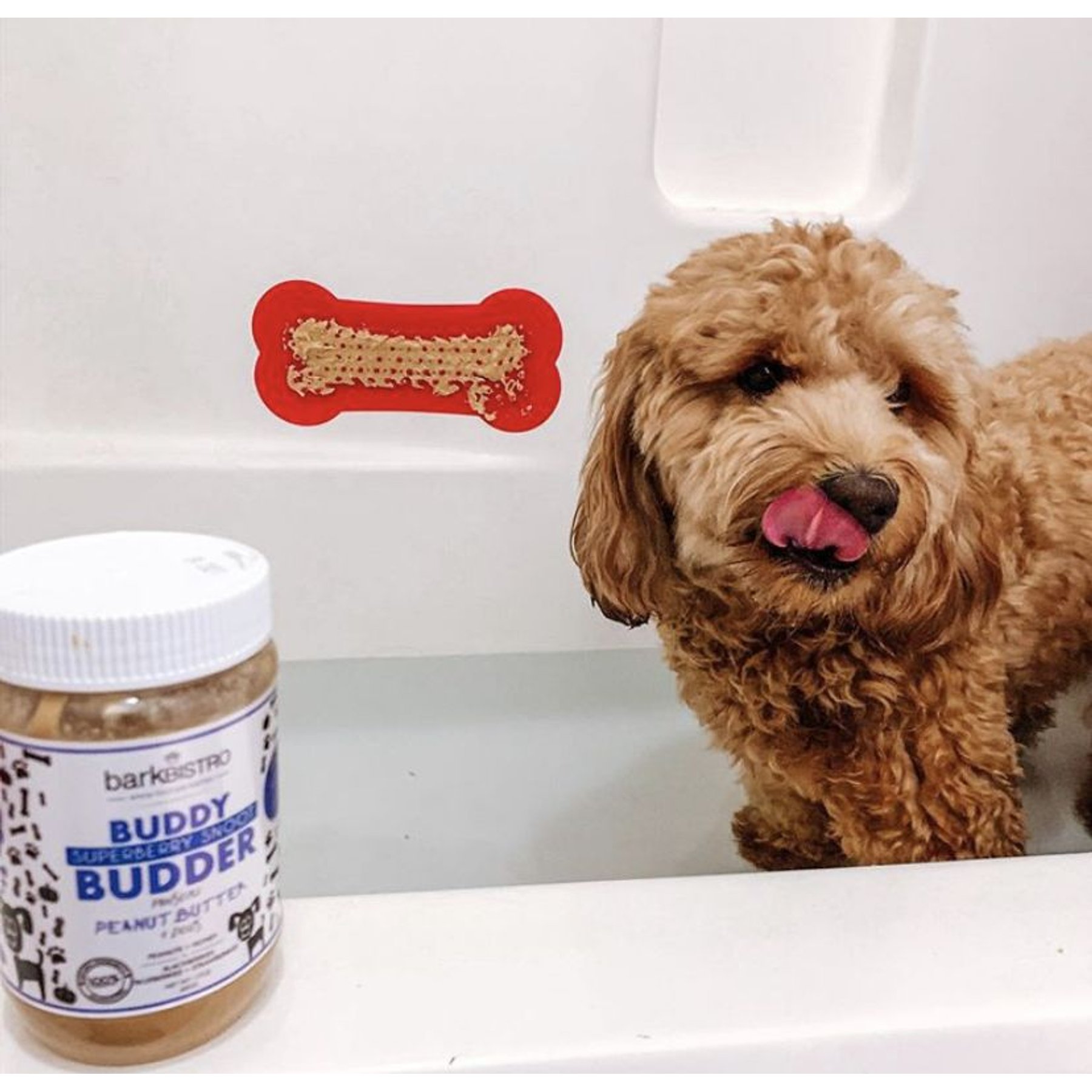 Bark Bistro Company Buddy Budder Superberry Snoot Peanut Butter Lickable Dog Treat, 17-oz jar