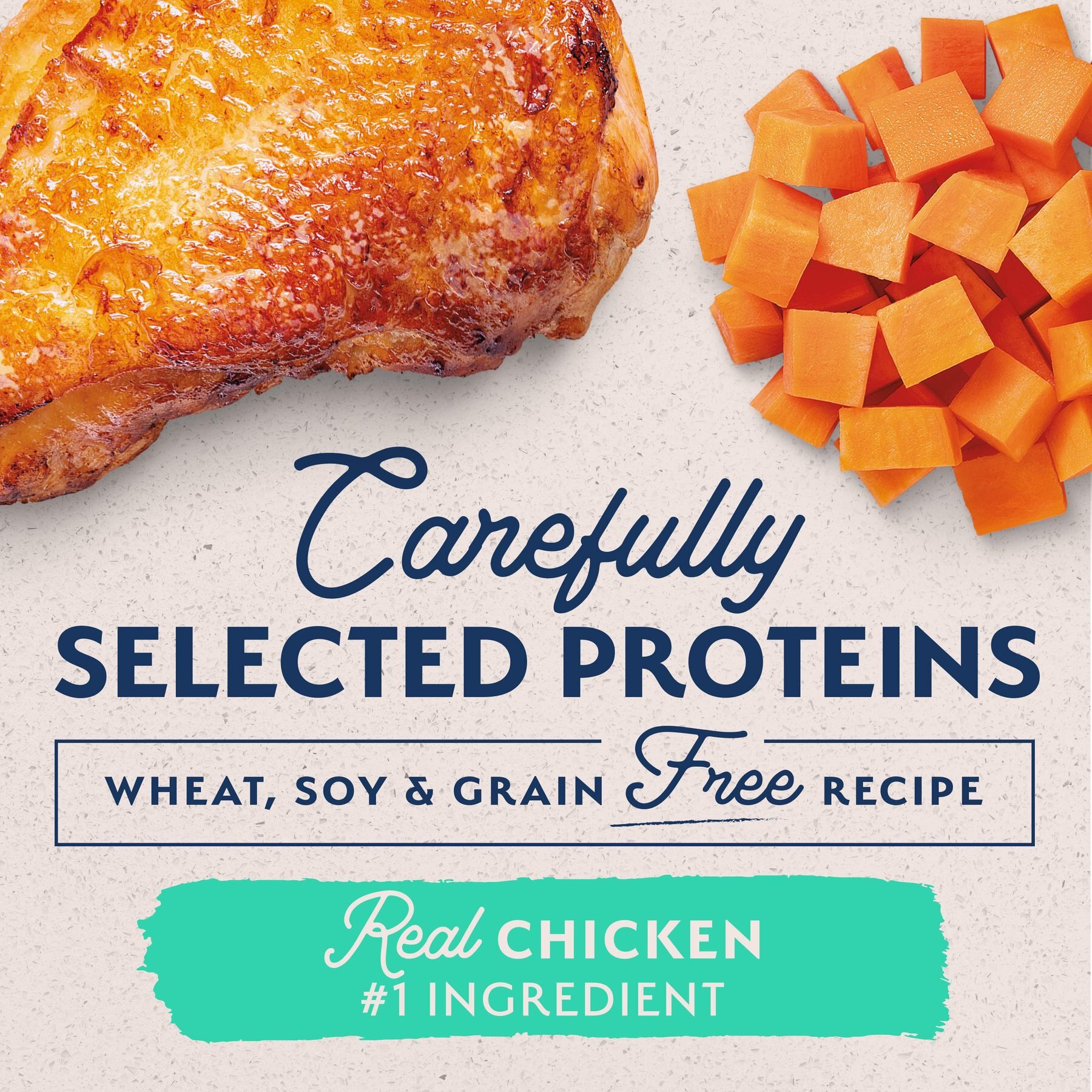 Natural Balance L.I.D. Limited Ingredient Diets Chicken & Sweet Potato Formula Grain-Free Canned Dog Food