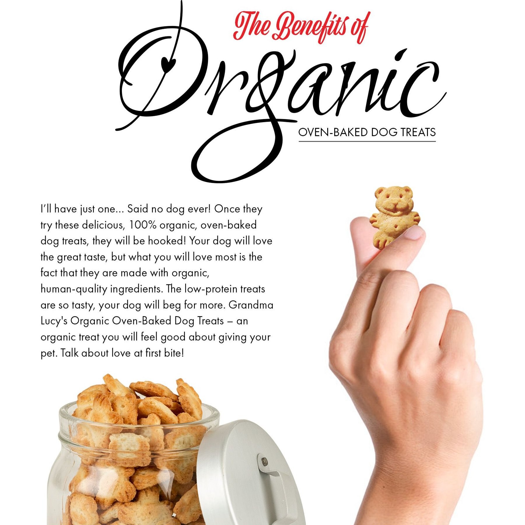 Grandma Lucy's Organic Blueberry Oven Baked Dog Treats