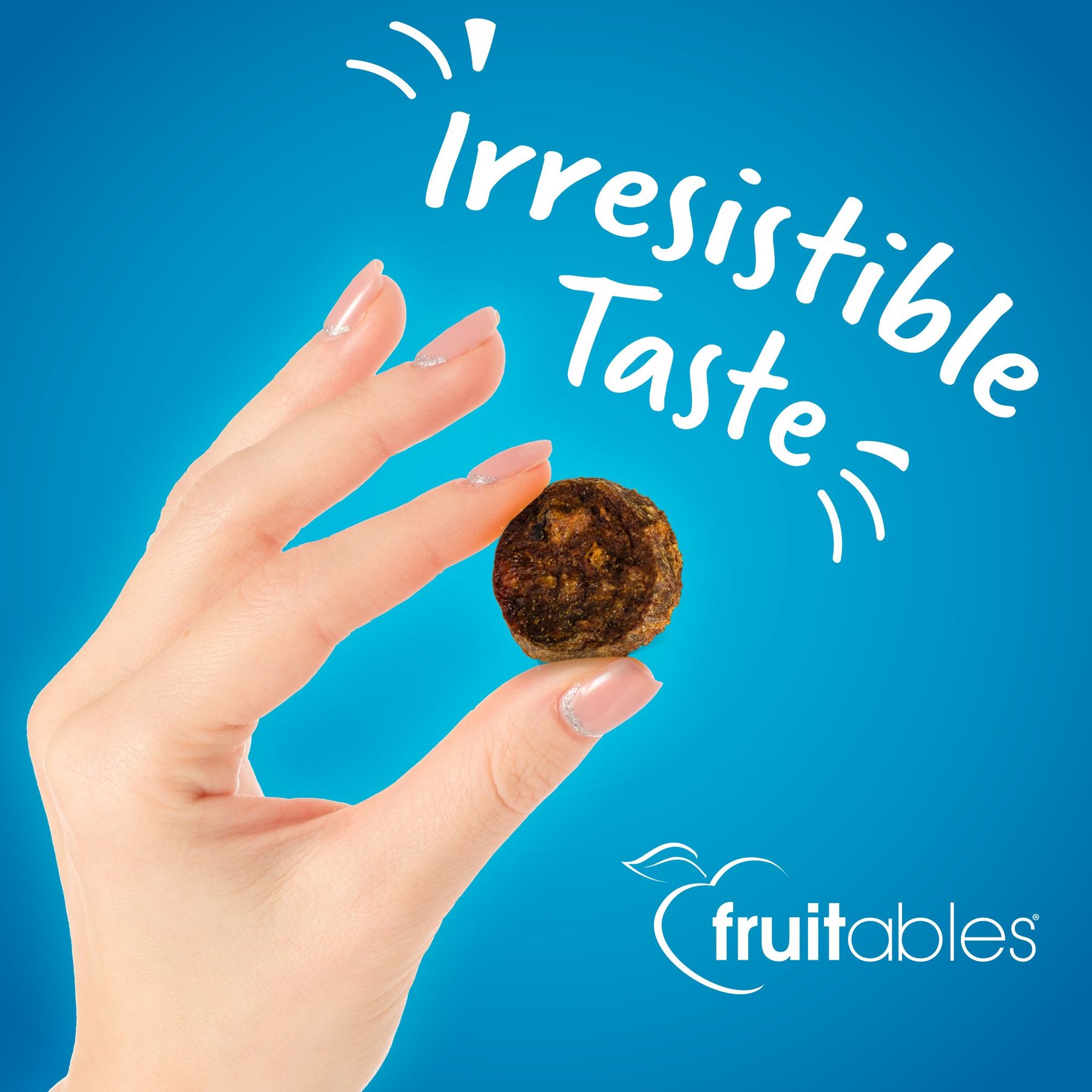 Fruitables Whole Jerky Bites Turkey & Sweet Potato Dog Treats