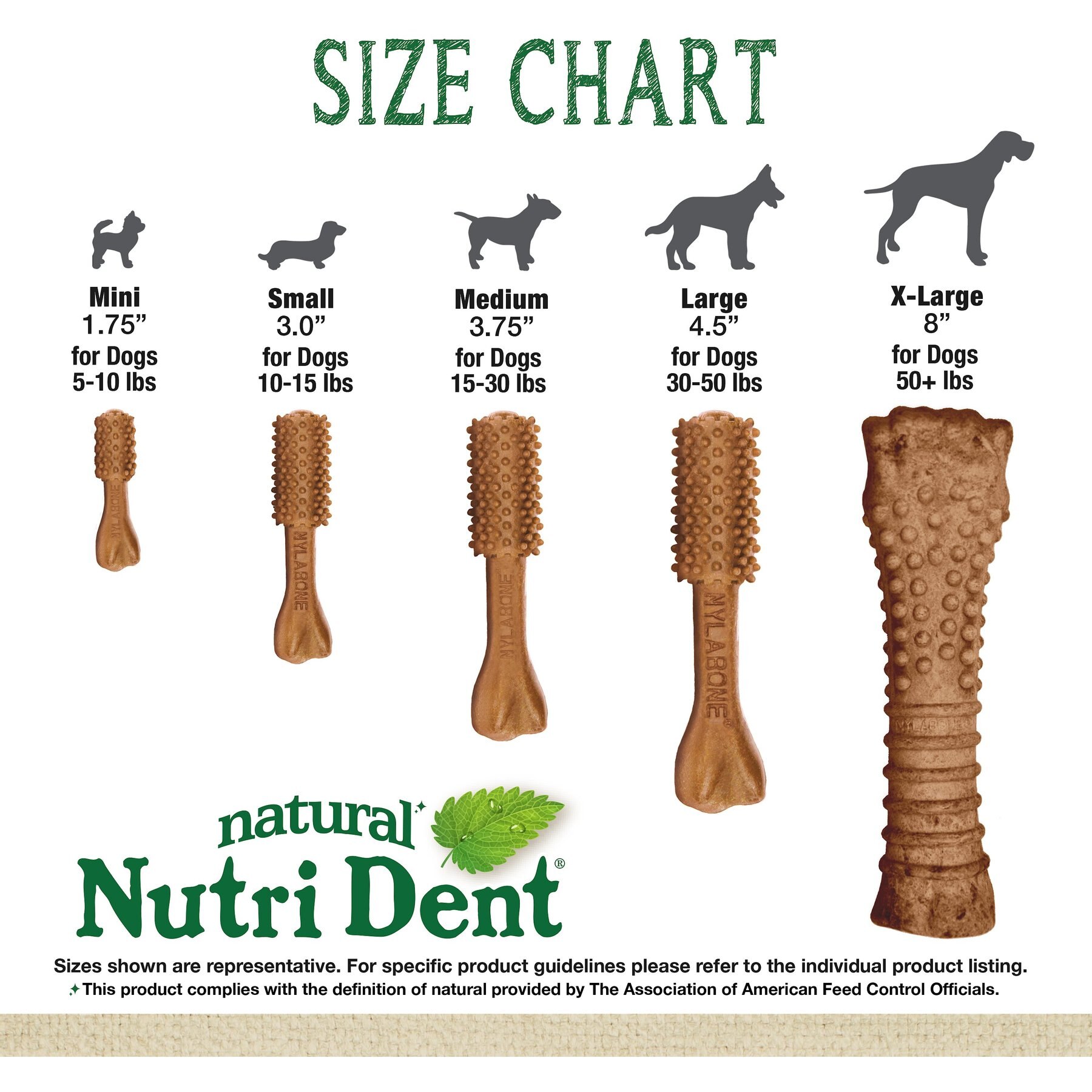 Nylabone Nutri Dent Filet Mignon Flavored Dog Dental Chews