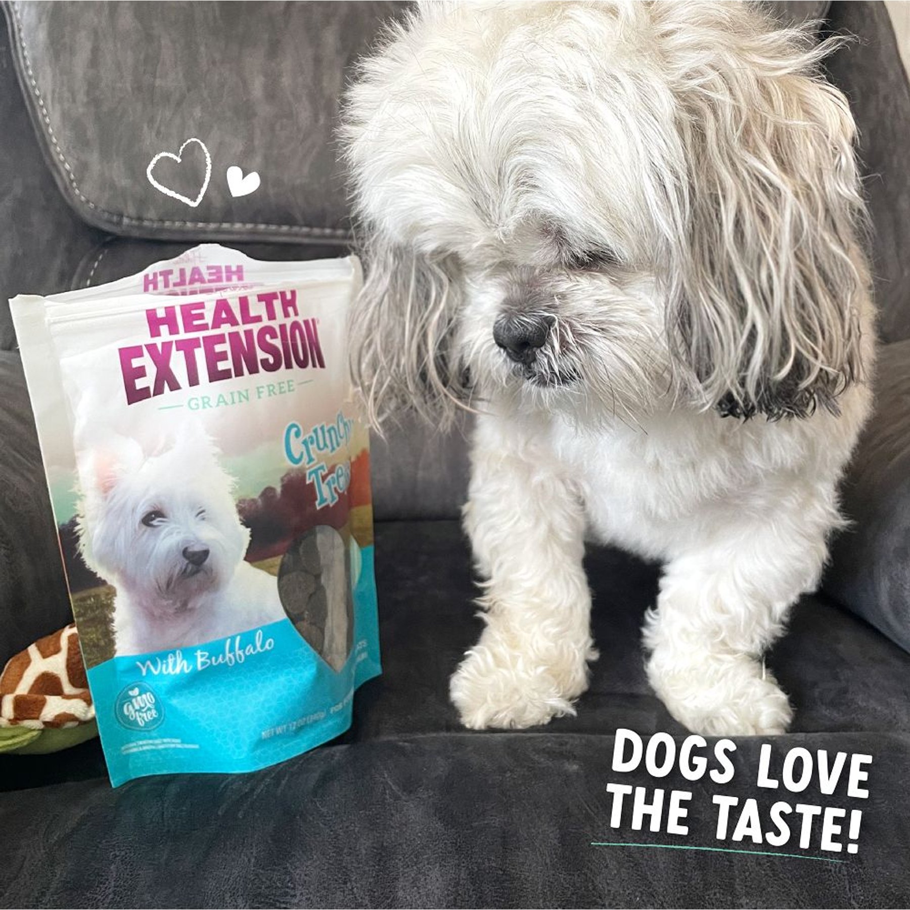 Health Extension Small Buffalo Heart Shaped Grain-Free Crunchy Dog Treats, 12-oz bag
