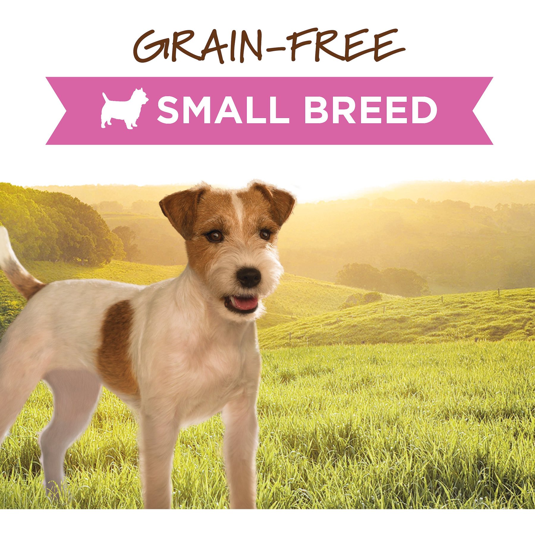 Instinct Original Small Breed Grain-Free Real Chicken Recipe Wet Dog Food