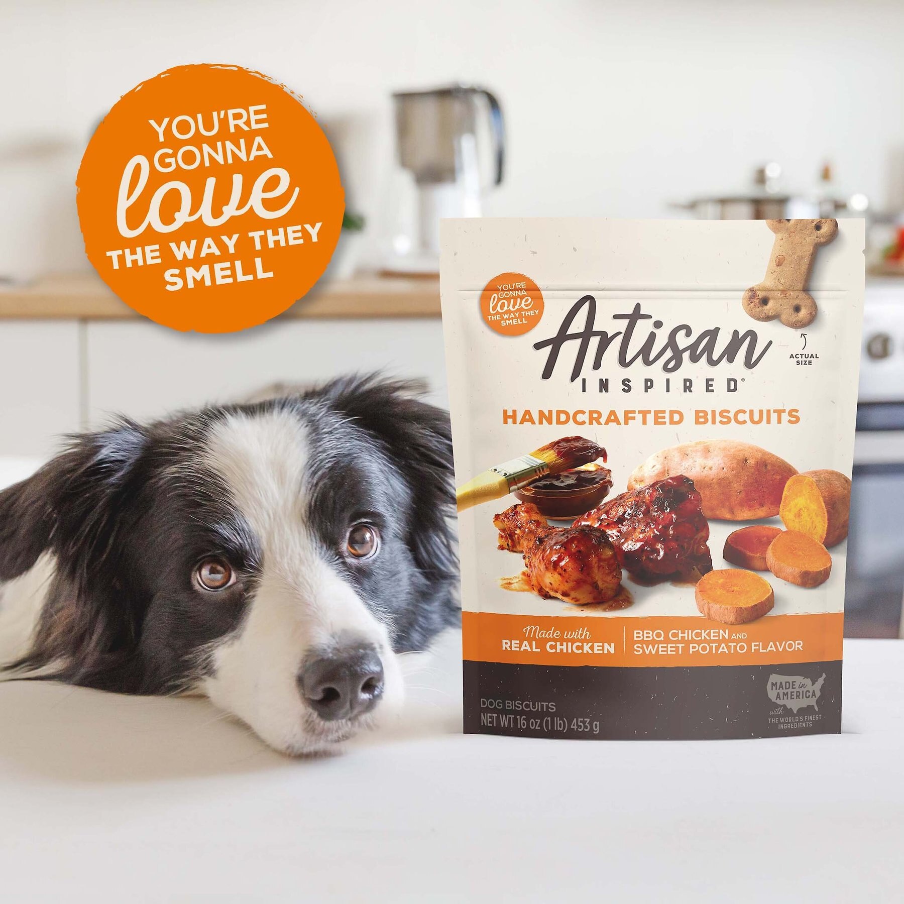 Artisan Inspired BBQ Chicken & Sweet Potato Flavor Biscuits Dog Treats, 16-oz bag