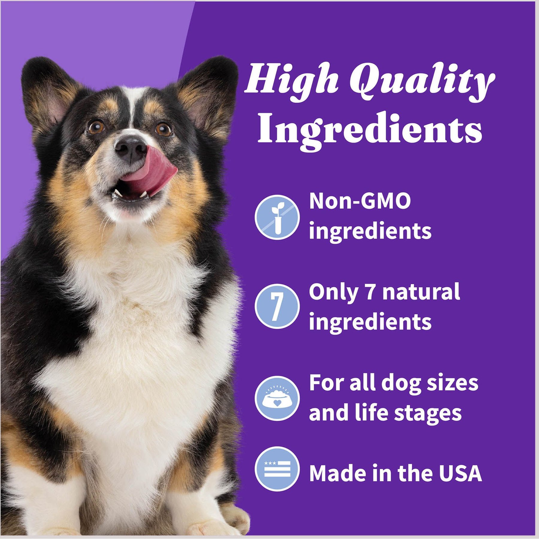 Halo Plant Based Dog Treats with Oats & Blueberries Vegan Dog Treats, 8-oz bag