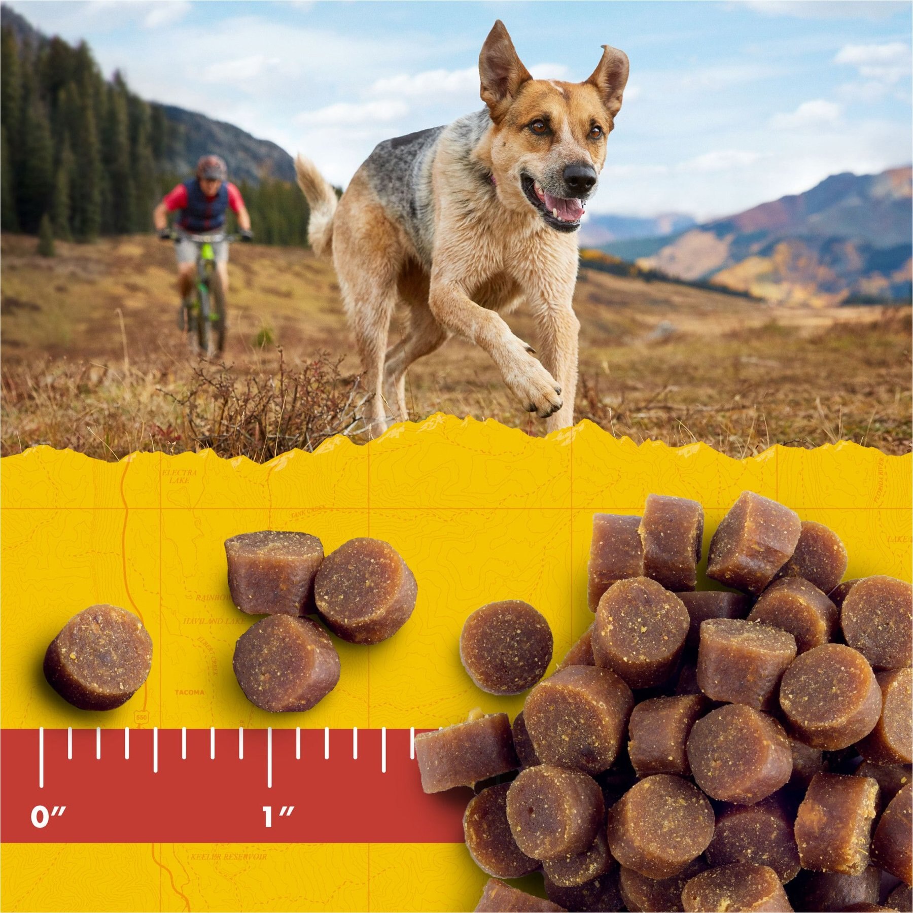 Zuke's Mini Naturals Duck Recipe Training Dog Treats