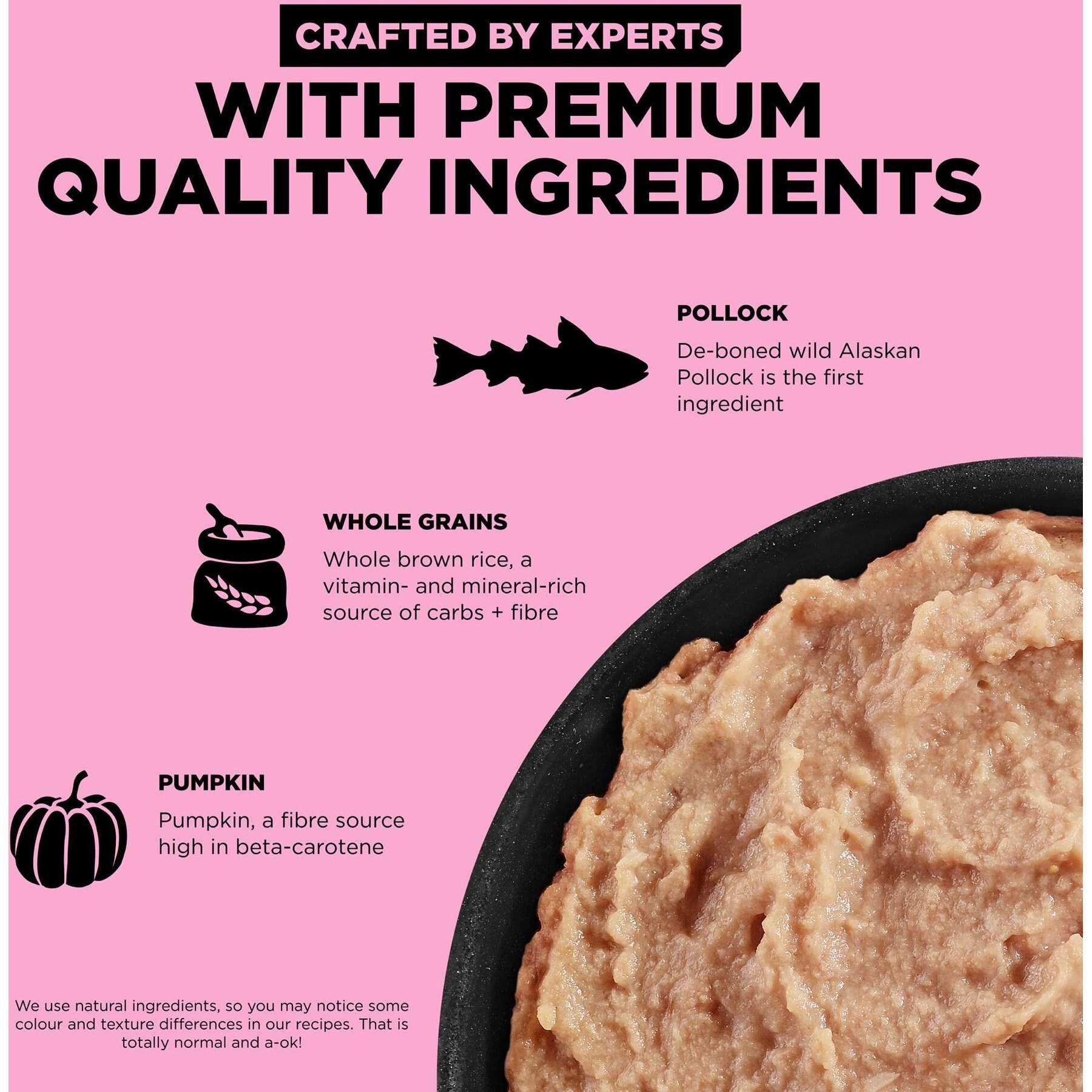 Go! Solutions Skin + Coat Care Pollock Pate Dog Food