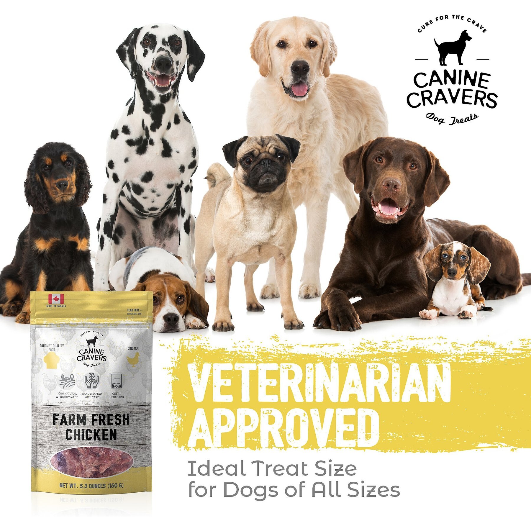 Canine Cravers Farm Fresh Chicken Dehydrated Dog Treats, 5.3-oz pouch