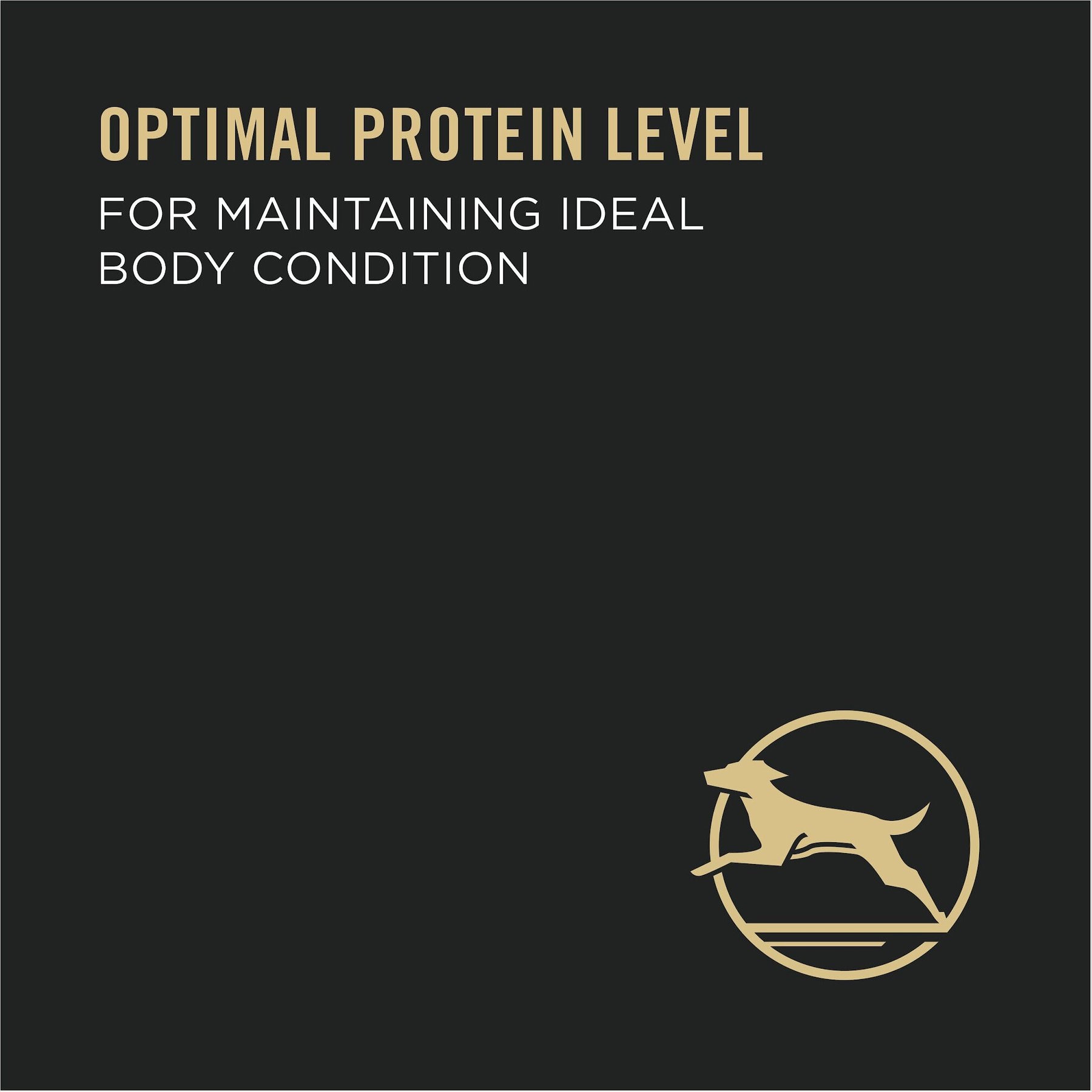 Purina Pro Plan Savor Classic Beef & Chicken Entree Grain-Free Canned Dog Food