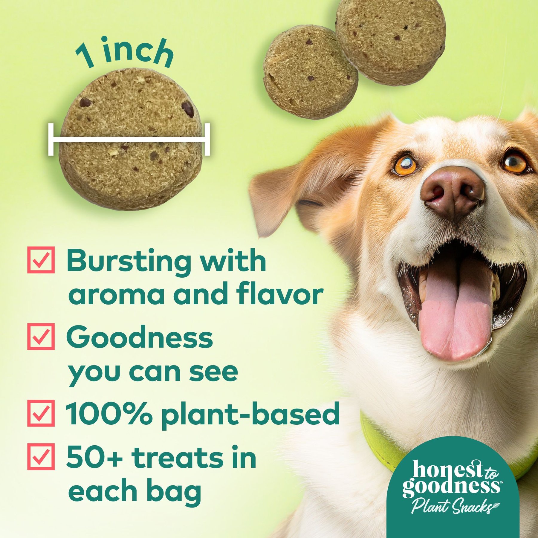 Honest To Goodness Plant Snacks Happy Feet Apple & Cinnamon Dog Treats, 8-oz bag