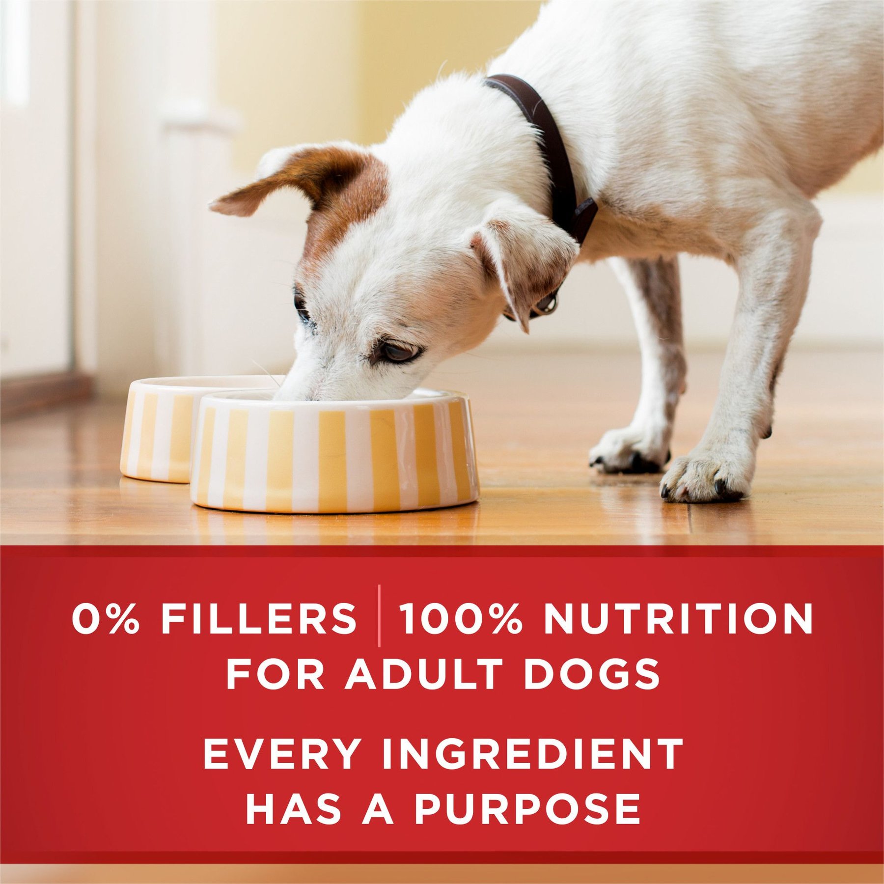 Purina ONE SmartBlend Classic Ground Beef & Brown Rice Entree Adult Canned Dog Food
