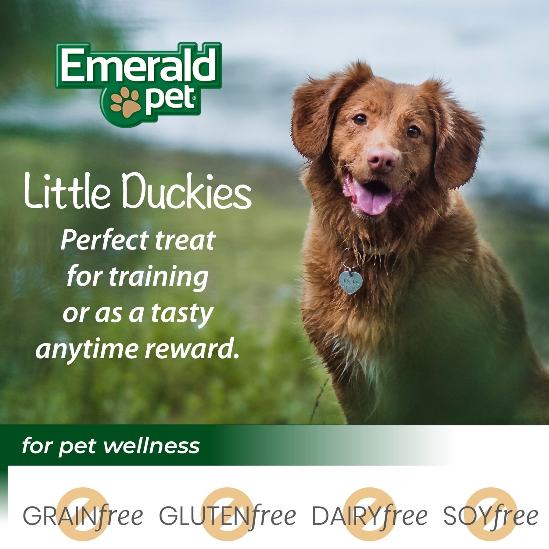 Emerald Pet Grain-Free Little Duckies with Duck & Pumpkin Dog Treats