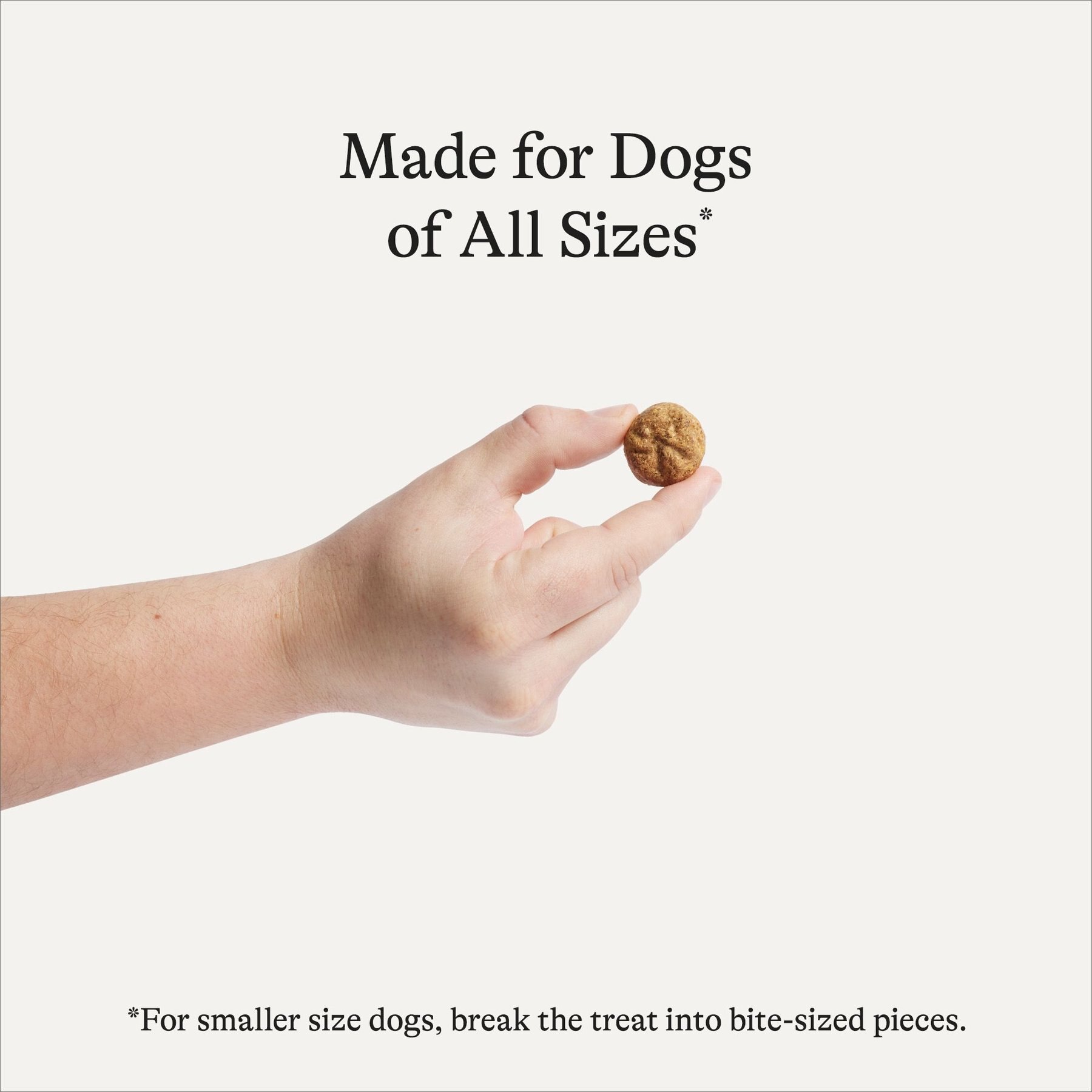 American Journey Turkey Recipe Grain-Free Oven Baked Crunchy Biscuit Dog Treats