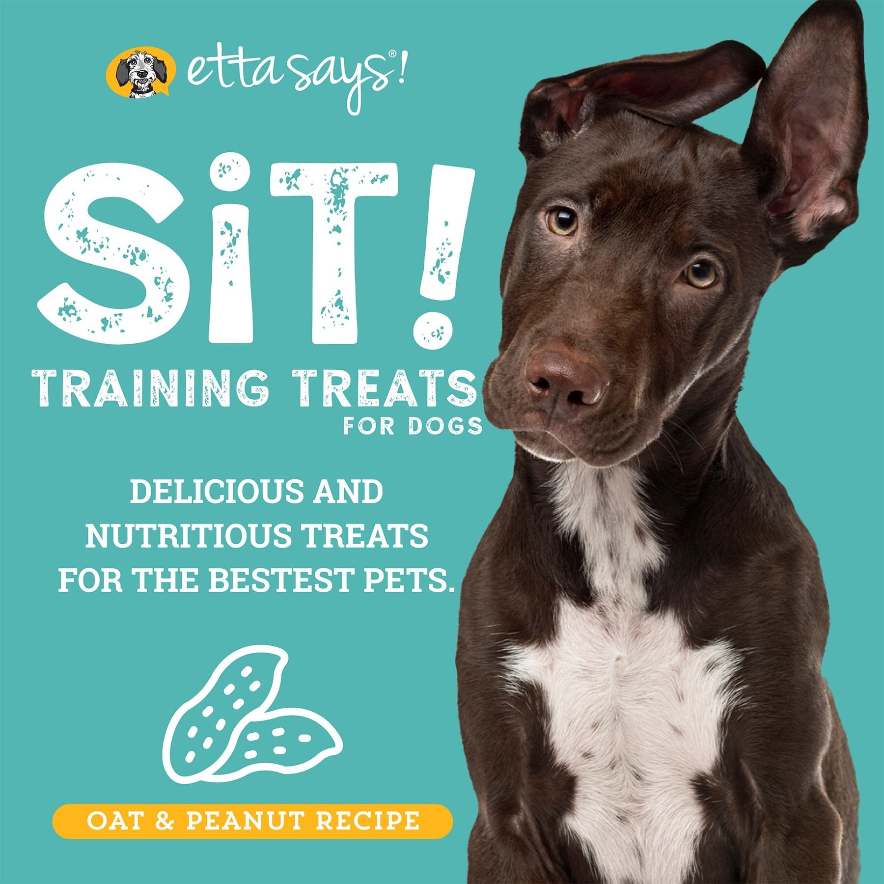 Etta Says! Sit! Training Treats Peanut Butter Recipe Dog Treats, 6-oz bag