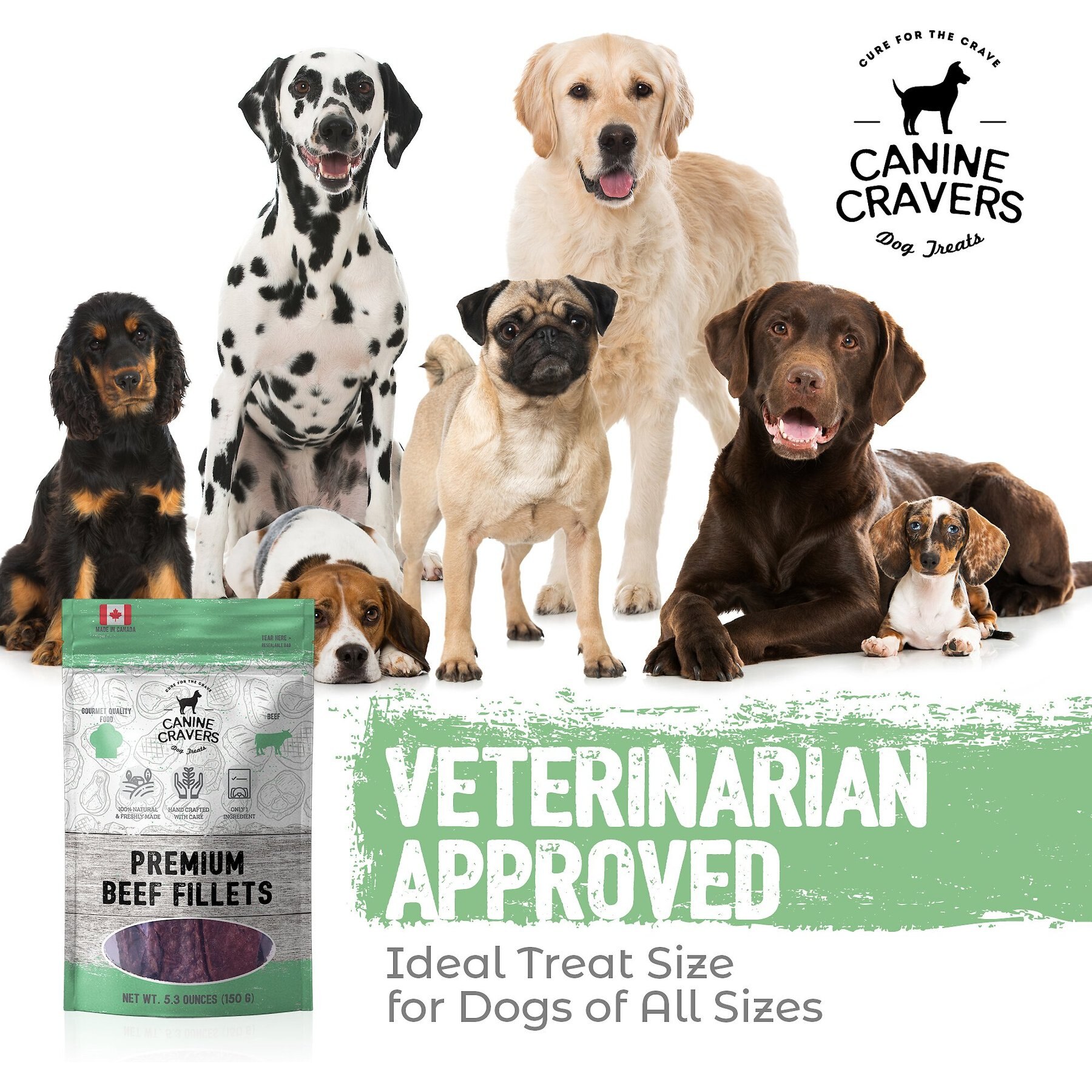 Canine Cravers Premium Beef Fillets Dehydrated Dog Treats, 5.3-oz pouch