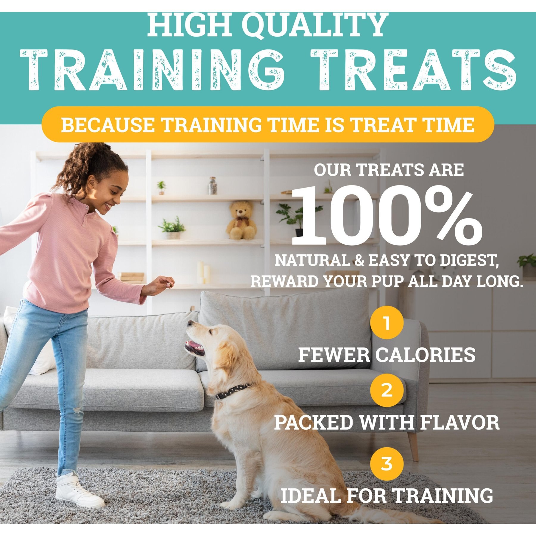 Etta Says! Sit! Peanut Butter Recipe Soft & Chewy Dog Training Treats, 1-lb bag