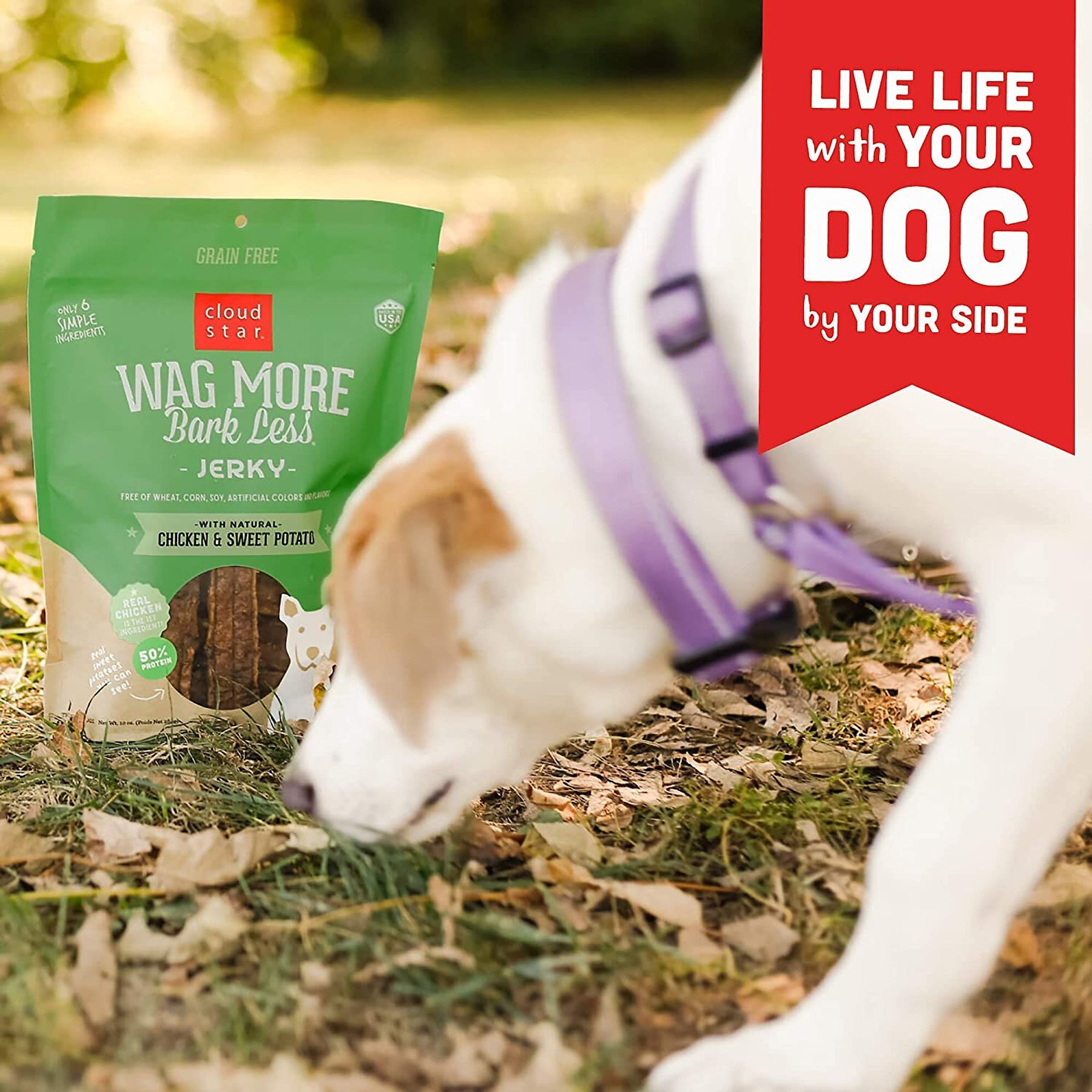 Cloud Star Wag More Bark Less Chicken & Sweet Potato Recipe Grain-Free Jerky Dog Treats