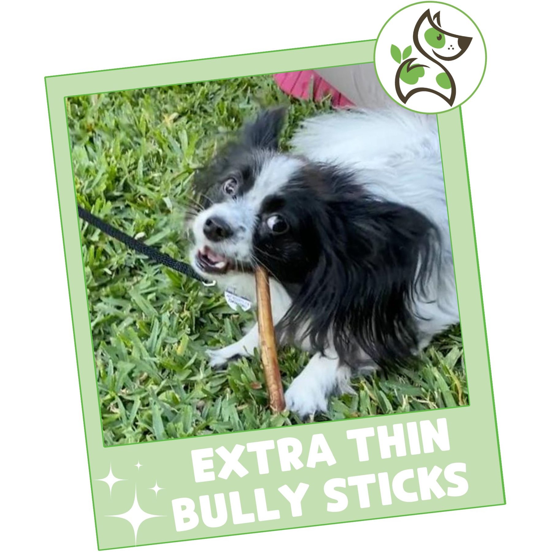 Nature Gnaws 5 to 6-in Extra Thin Bully Sticks Dog Chew Treats