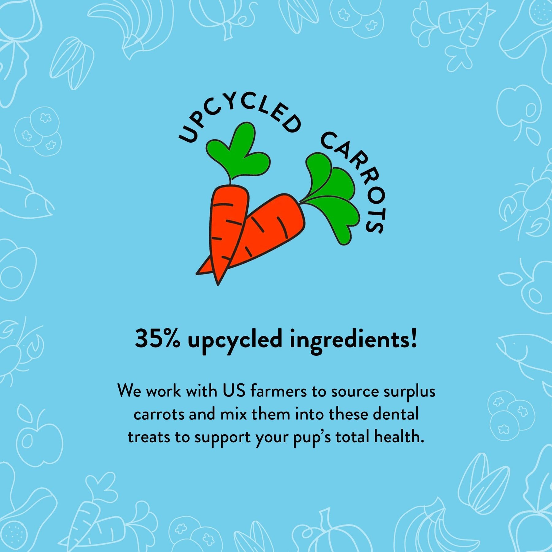 Shameless Pets Carrate Chomp Carrot & Salmon Oil Flavor Dental Dog Treats