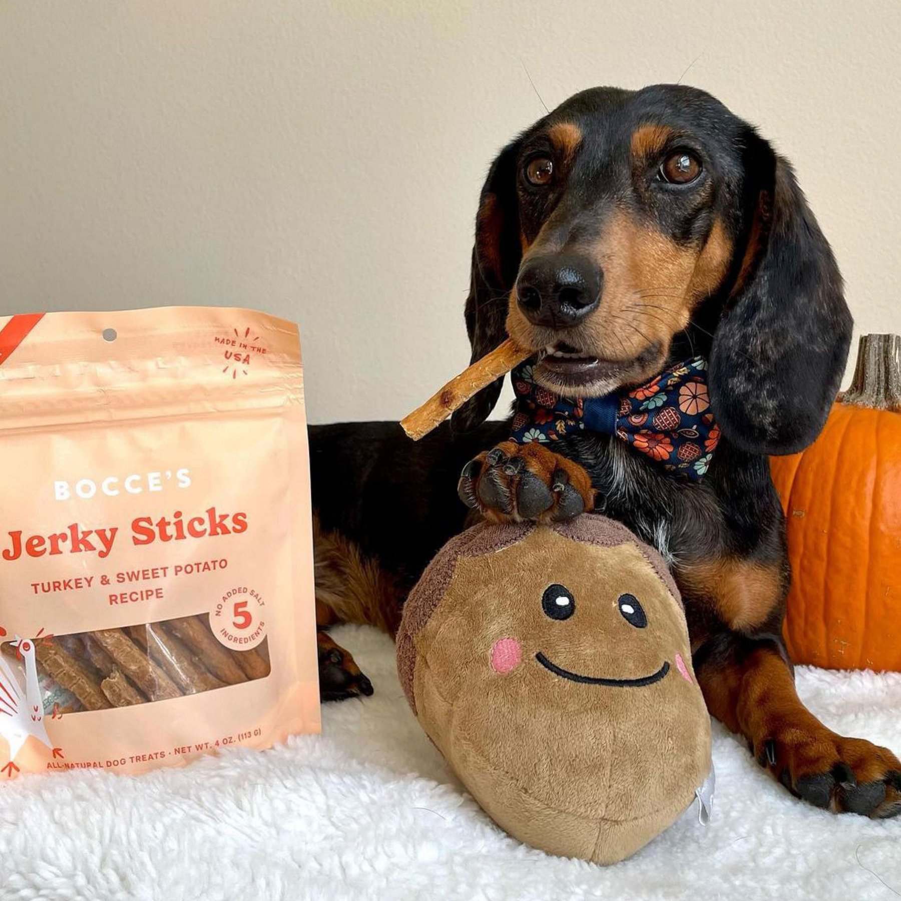 Bocce's Bakery Grazers Turkey Jerky Dog Treats, 4-oz pouch