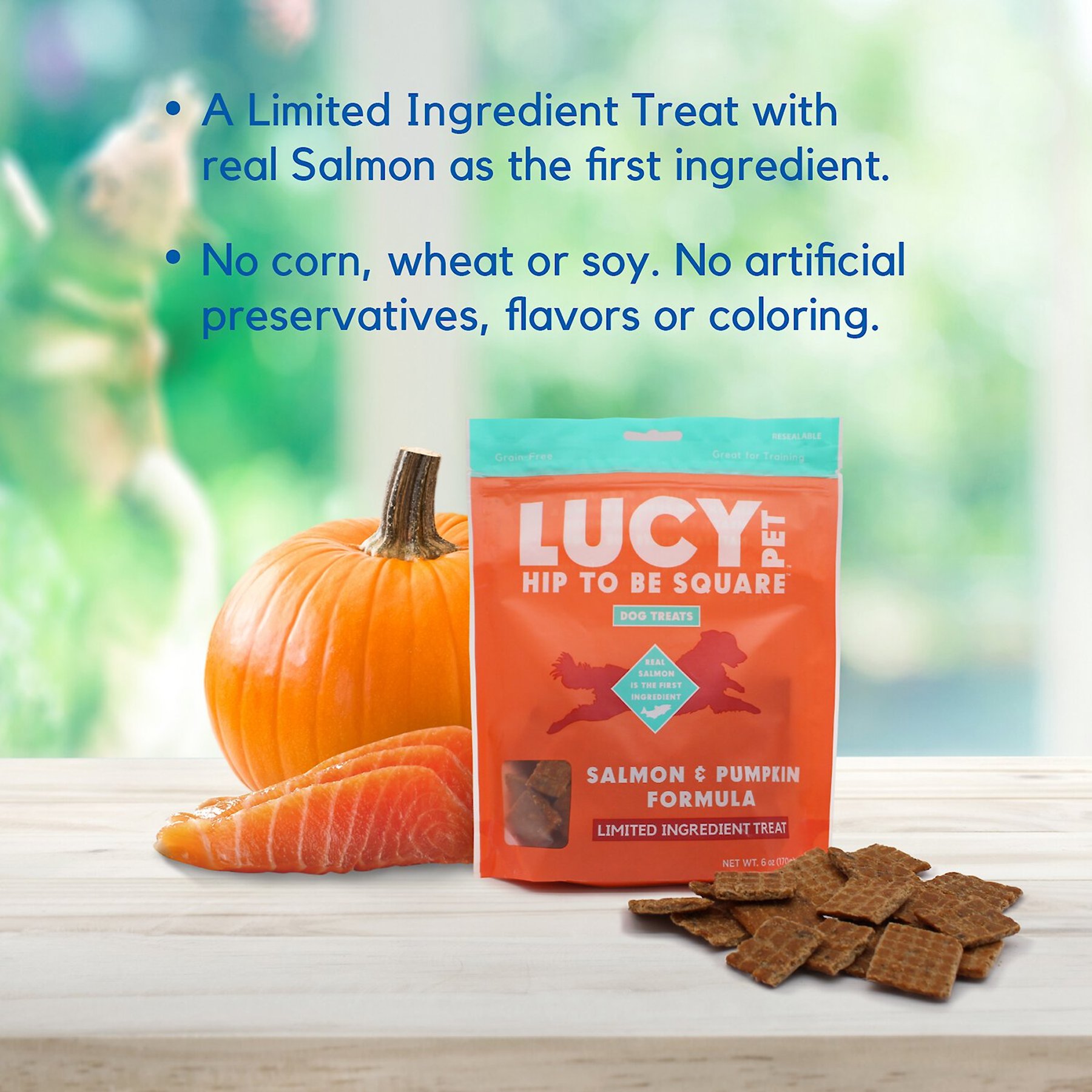 Lucy Pet Products Hip To Be Square Salmon & Pumpkin Formula Grain-Free Dog Treats