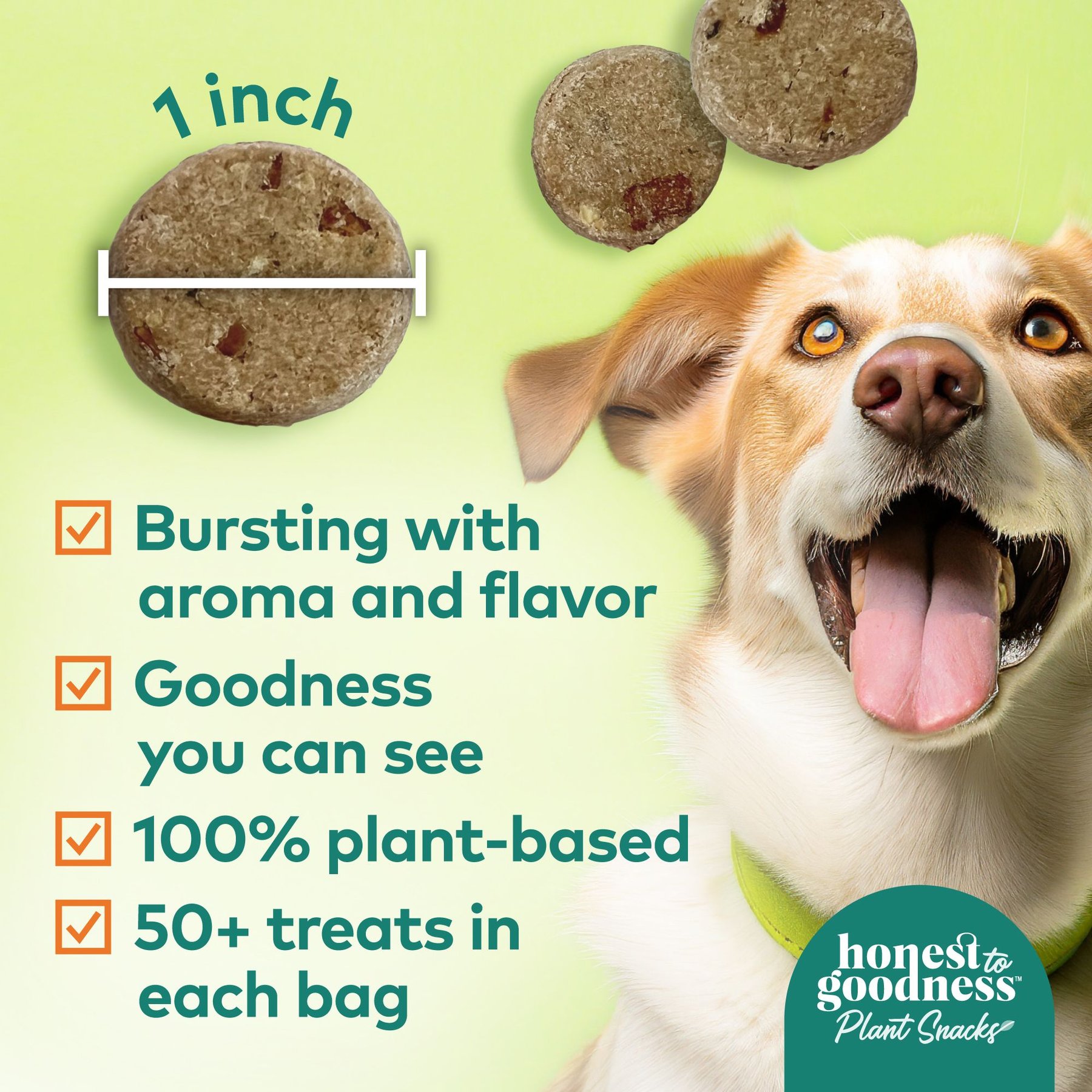 Honest To Goodness Plant Snacks Mellow Belly Pumpkin & Cinnamon Dog Treats, 8-oz bag