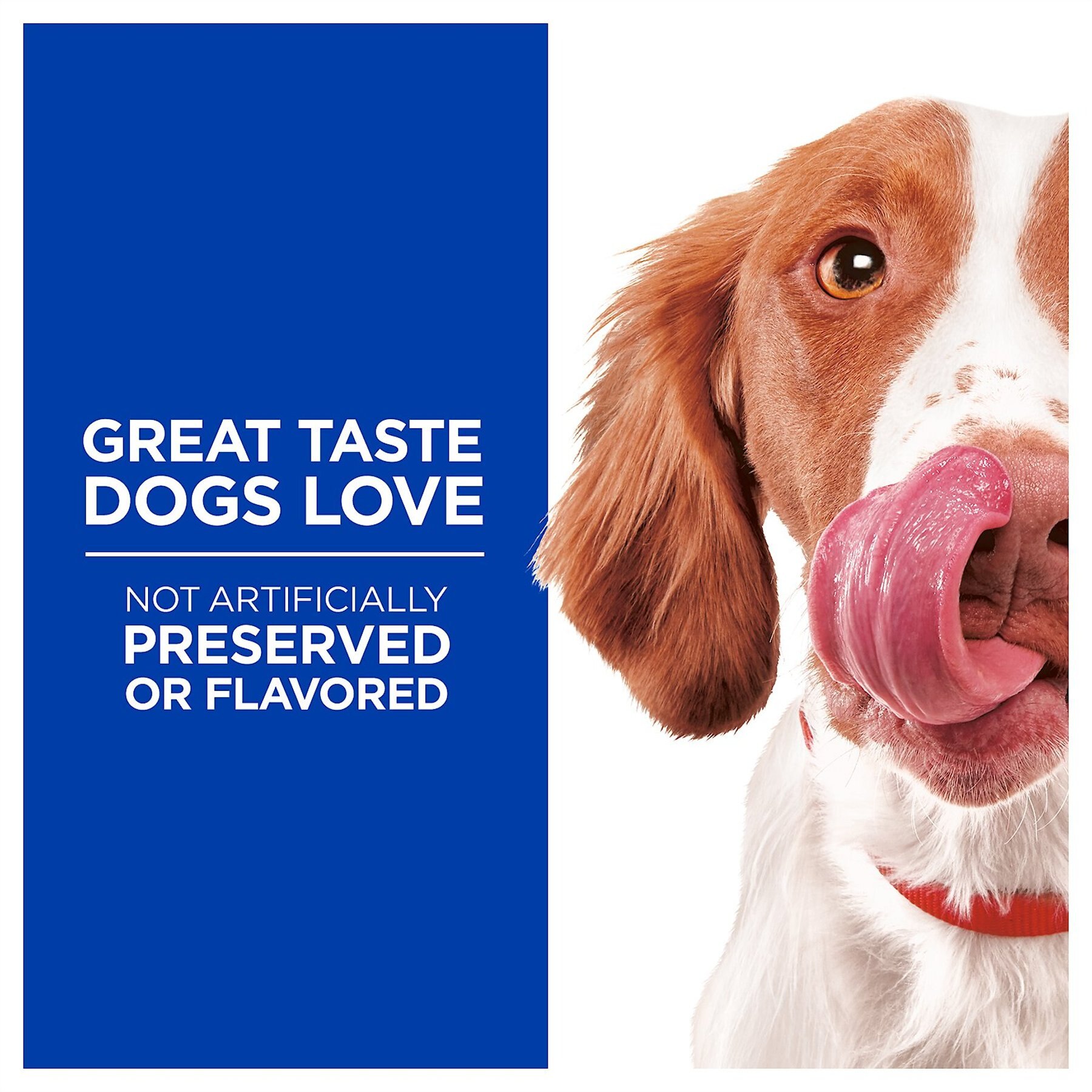 Hill's Natural Fruity Snacks with Apples & Oatmeal Crunchy Dog Treats