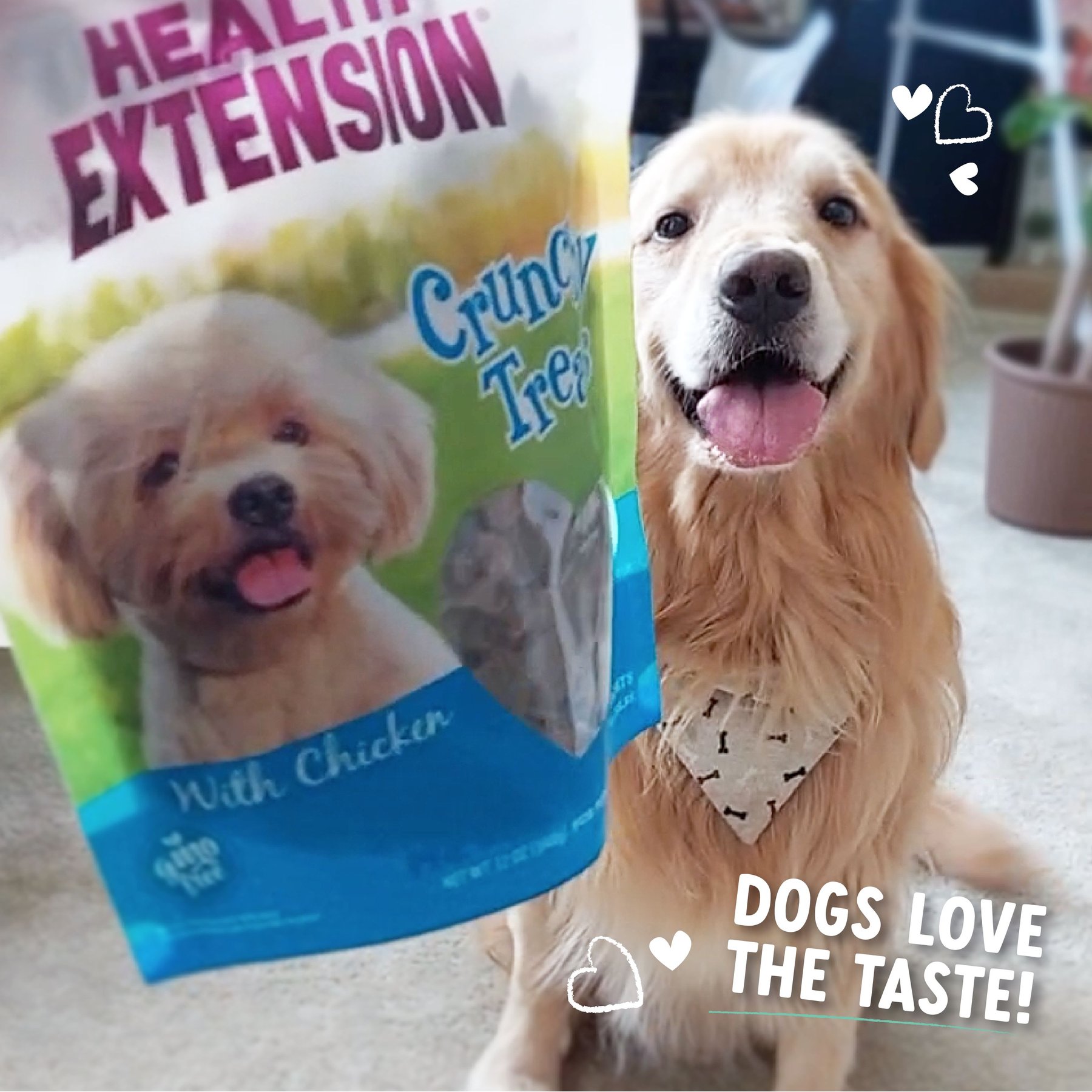 Health Extension Small Heart-Shaped Dog Treats