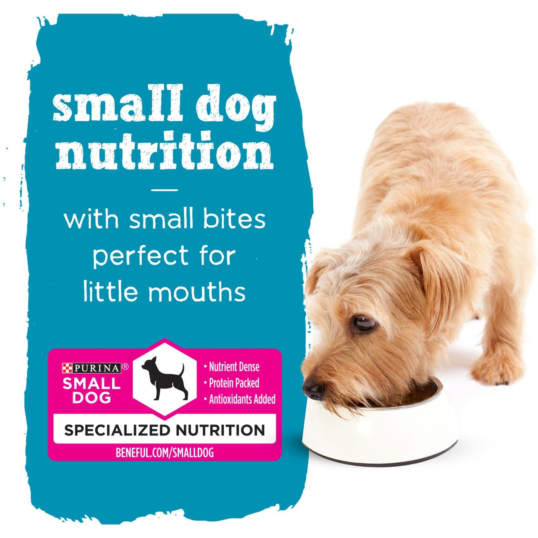 Purina Beneful IncrediBites Variety Pack Canned Dog Food