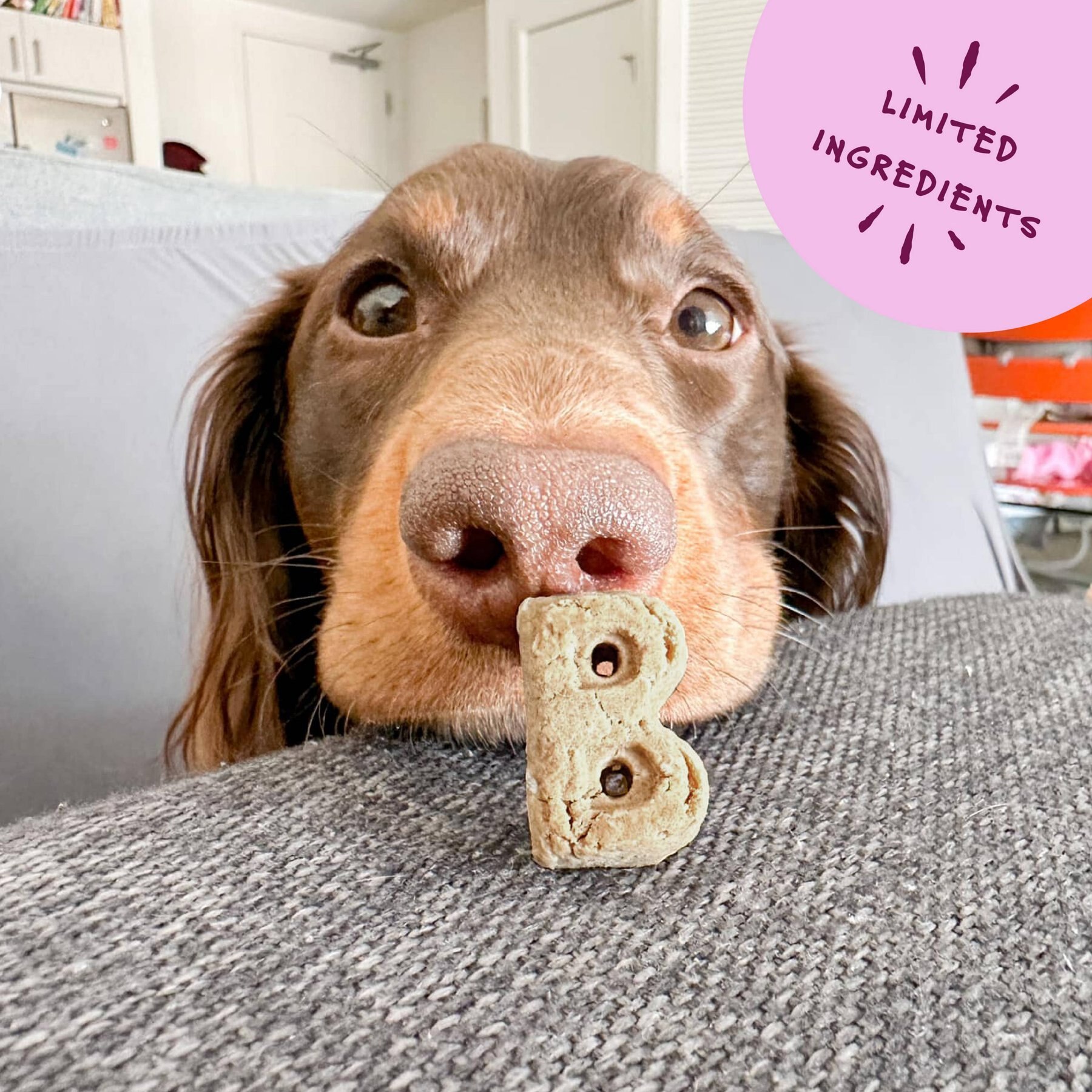 Bocce's Bakery Oven Baked Wheat-Free Duck Recipe Dog Treats
