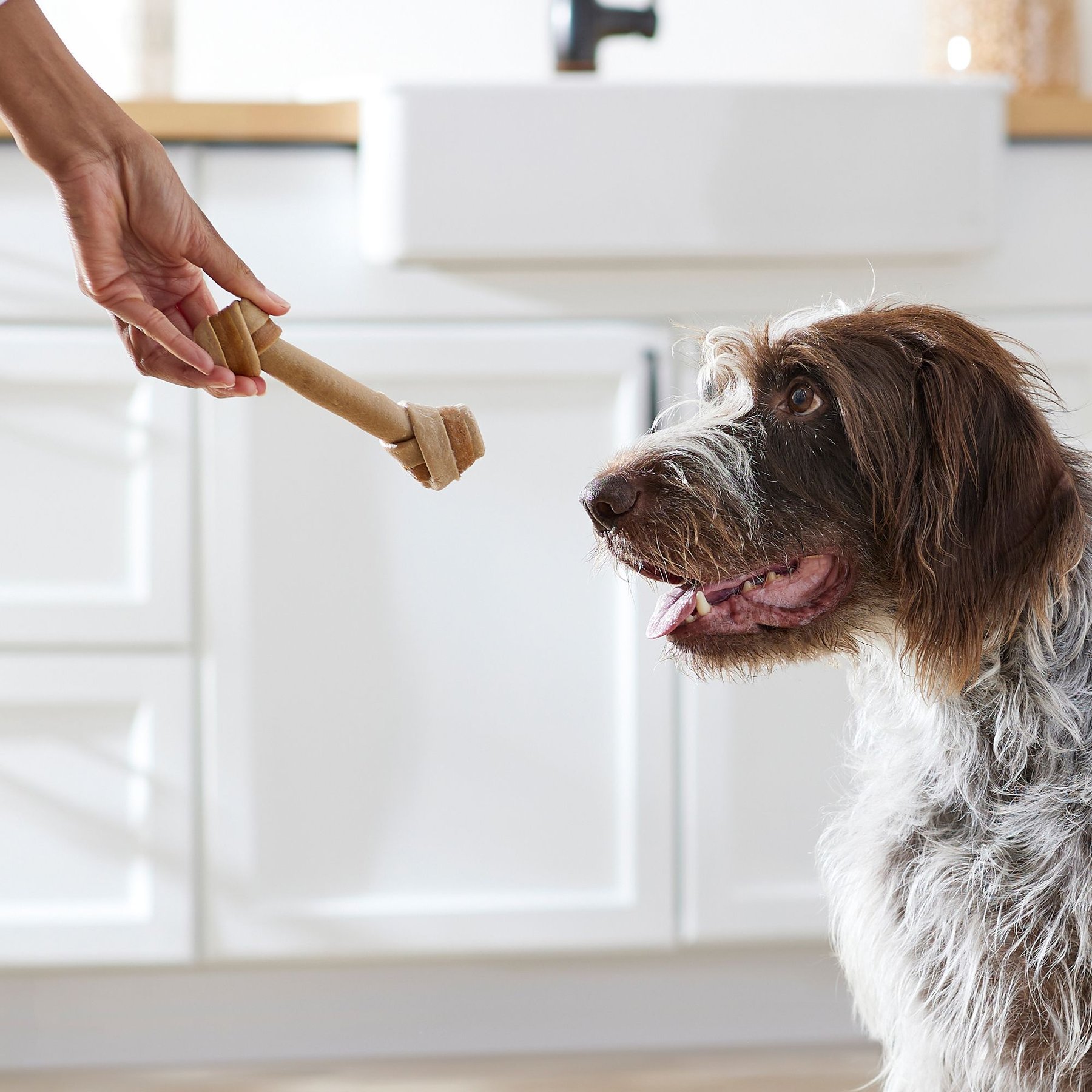 True Acre Foods, Rawhide-Free, Knotted Bones, with Natural Chicken Flavor Dog Treats