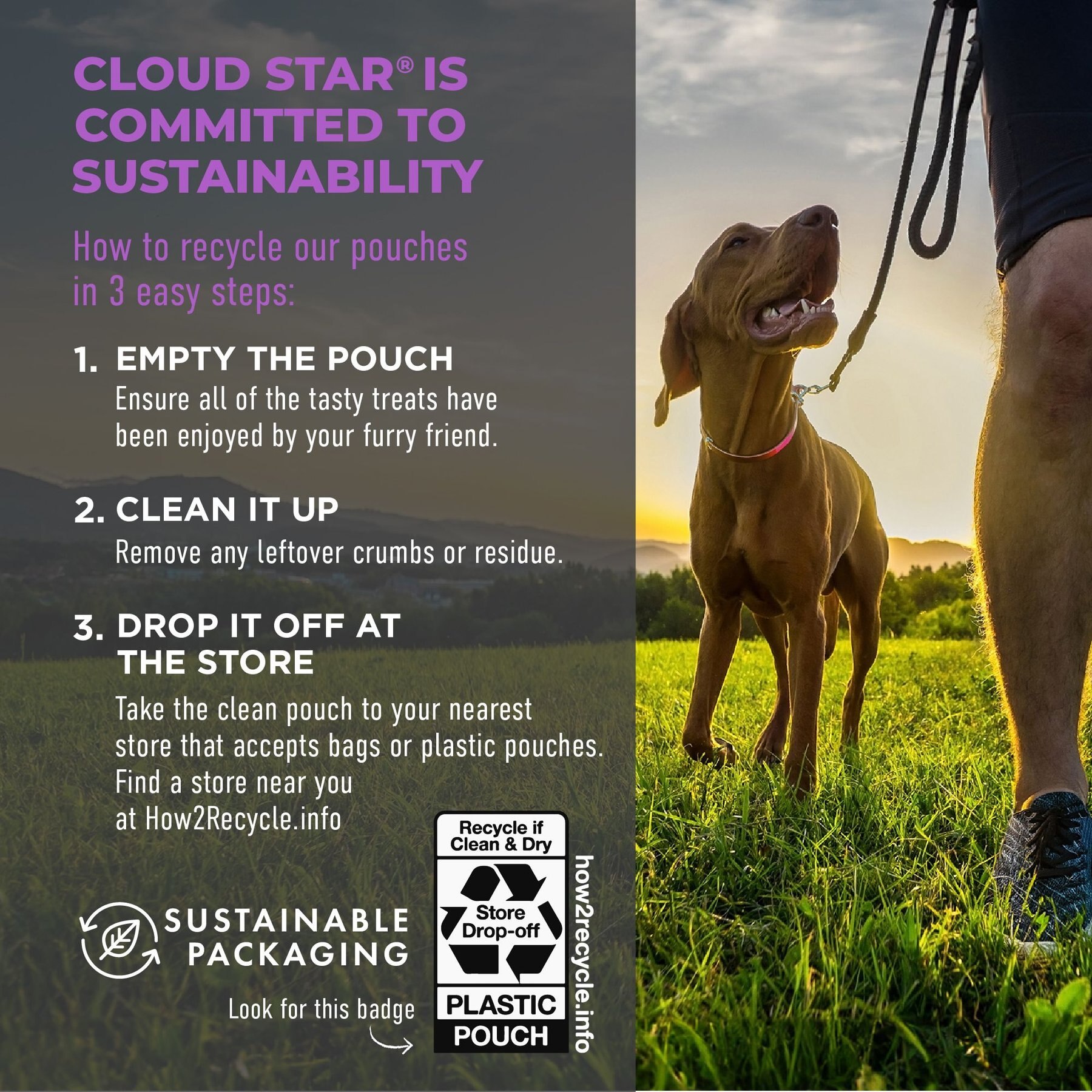 Cloud Star Chewy Tricky Trainers Liver Flavor Dog Treats