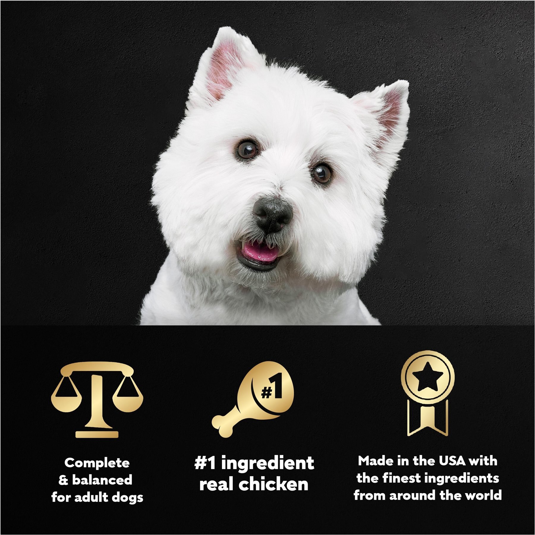Cesar Rotisserie Chicken Flavor Filets in Gravy Small Breed Adult Wet Dog Food Trays