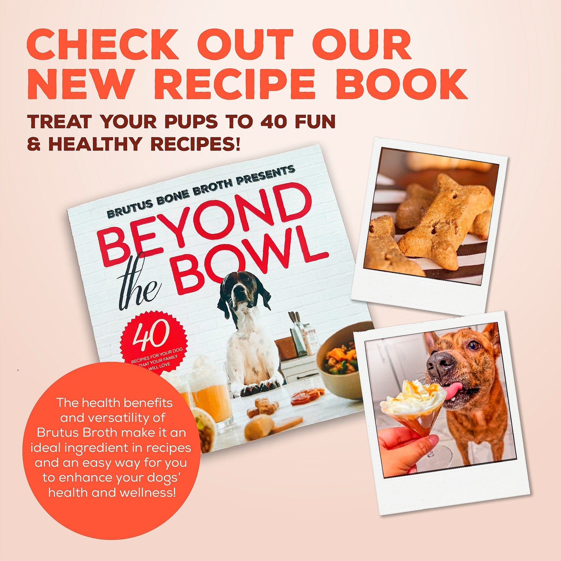Brutus Broth Bone Broth Biscuits Chicken Dog Treats