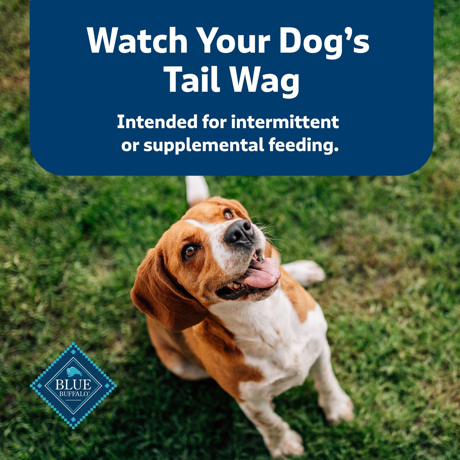Blue Buffalo Health Bars Baked Beef Dog Treats