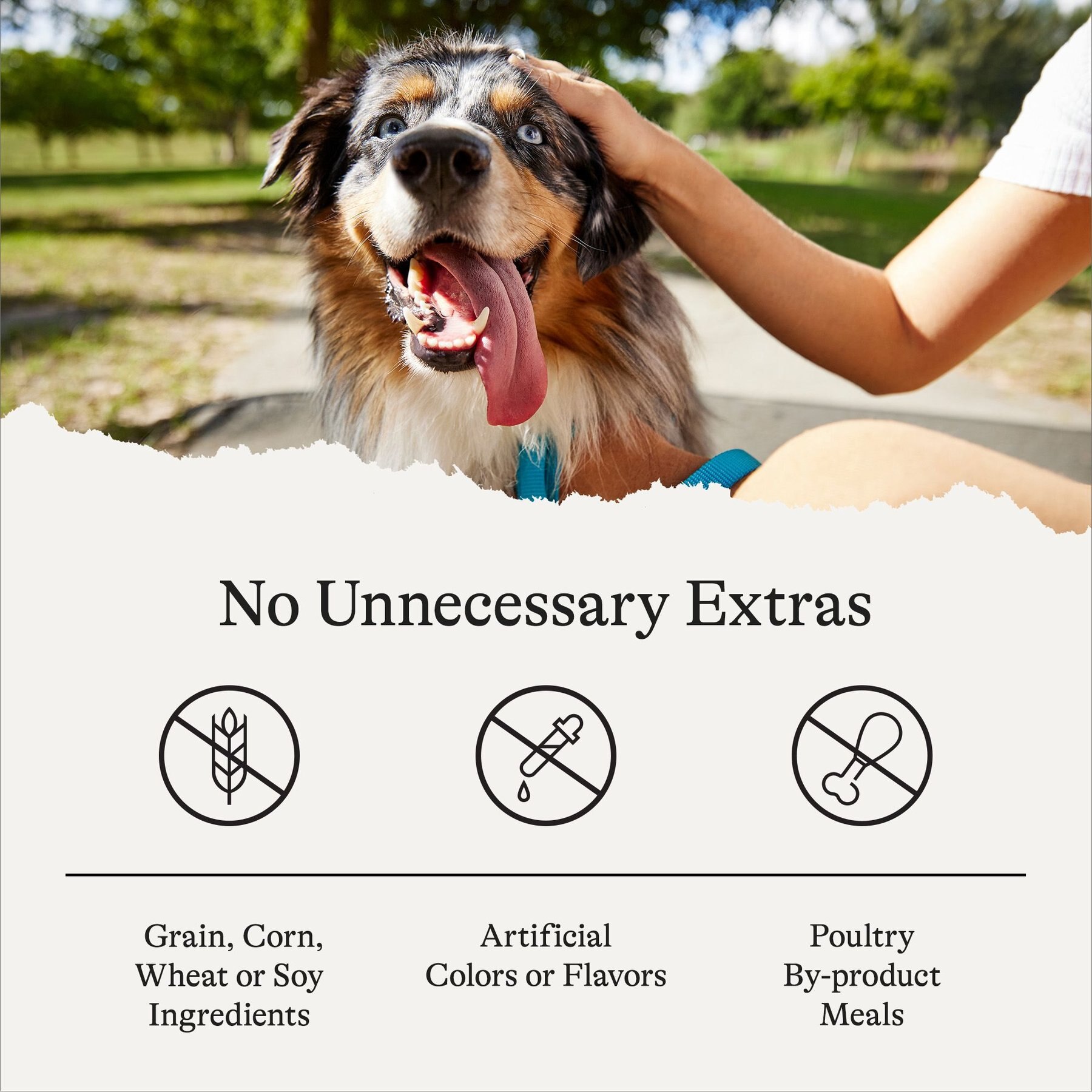 American Journey Salmon Recipe Grain-Free Soft & Chewy Training Bits Dog Treats