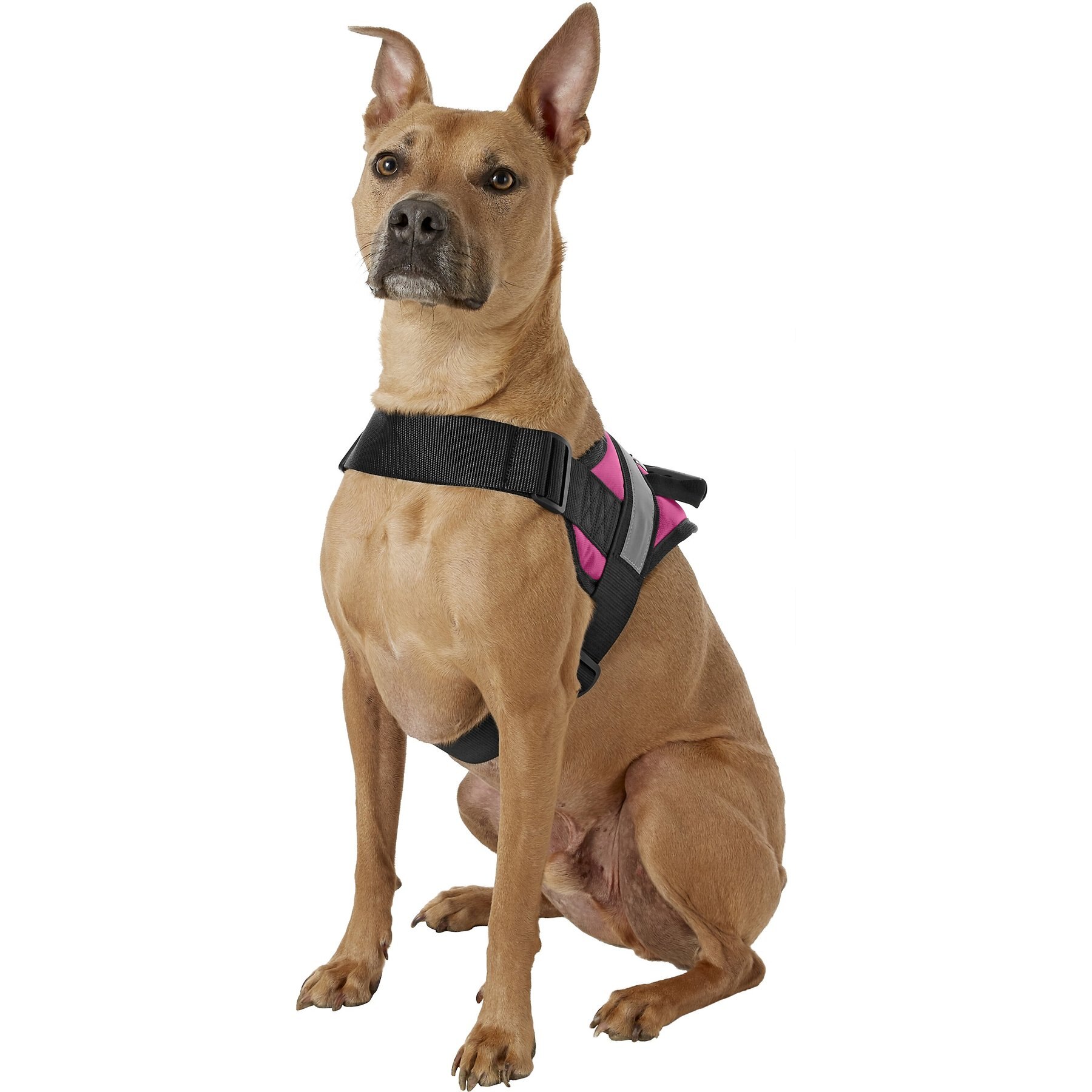 HDP Big No Pull Dog Harness Free shipping