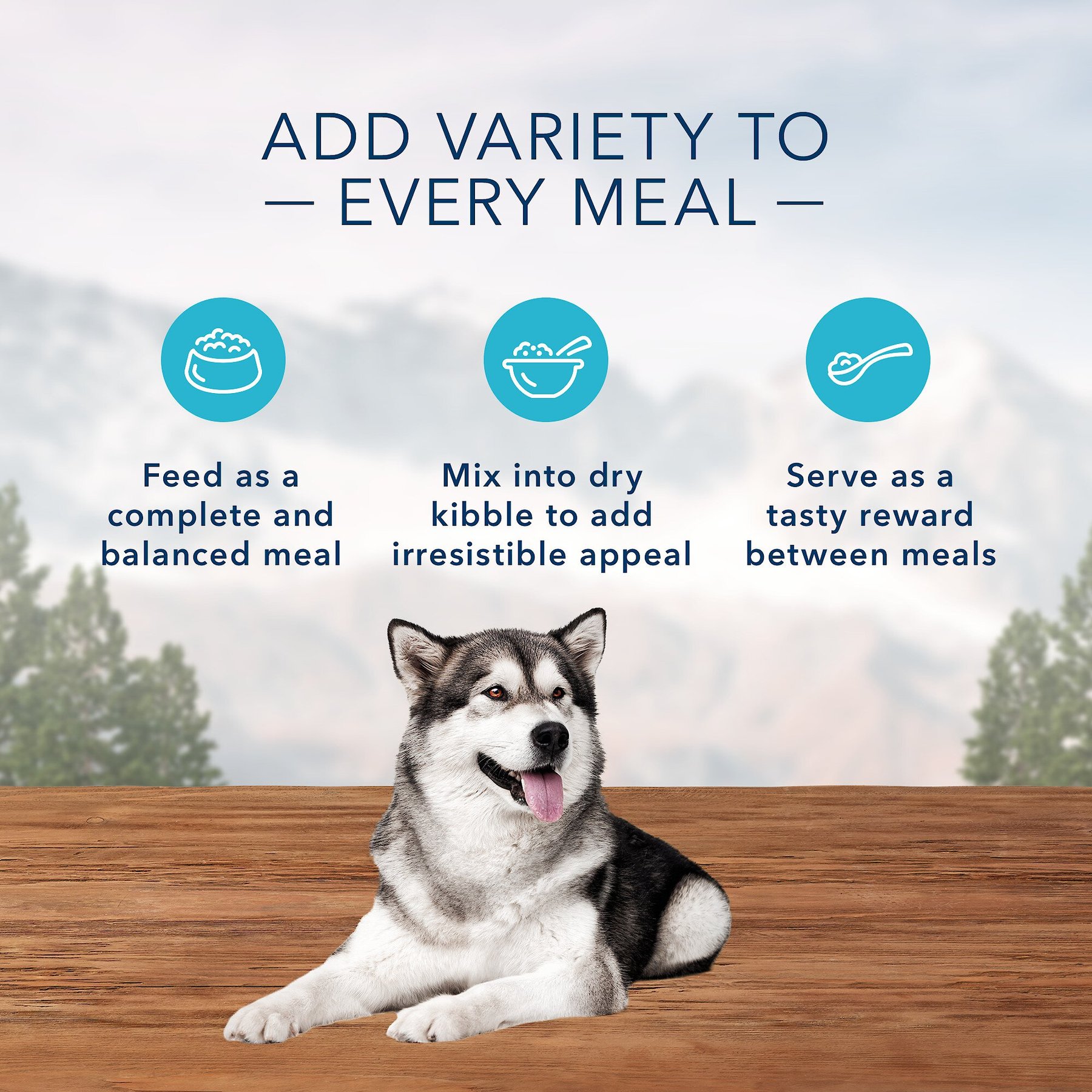 Blue Buffalo Wilderness Salmon & Chicken Grill with Oats & Barley Adult Wet Dog Food