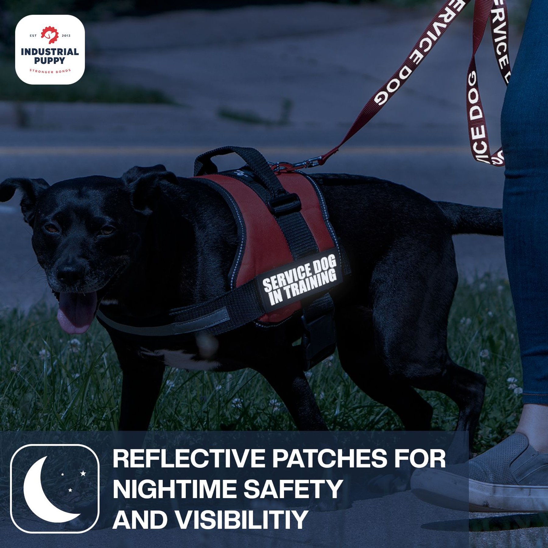 Industrial Puppy Service Dog In Training Patches