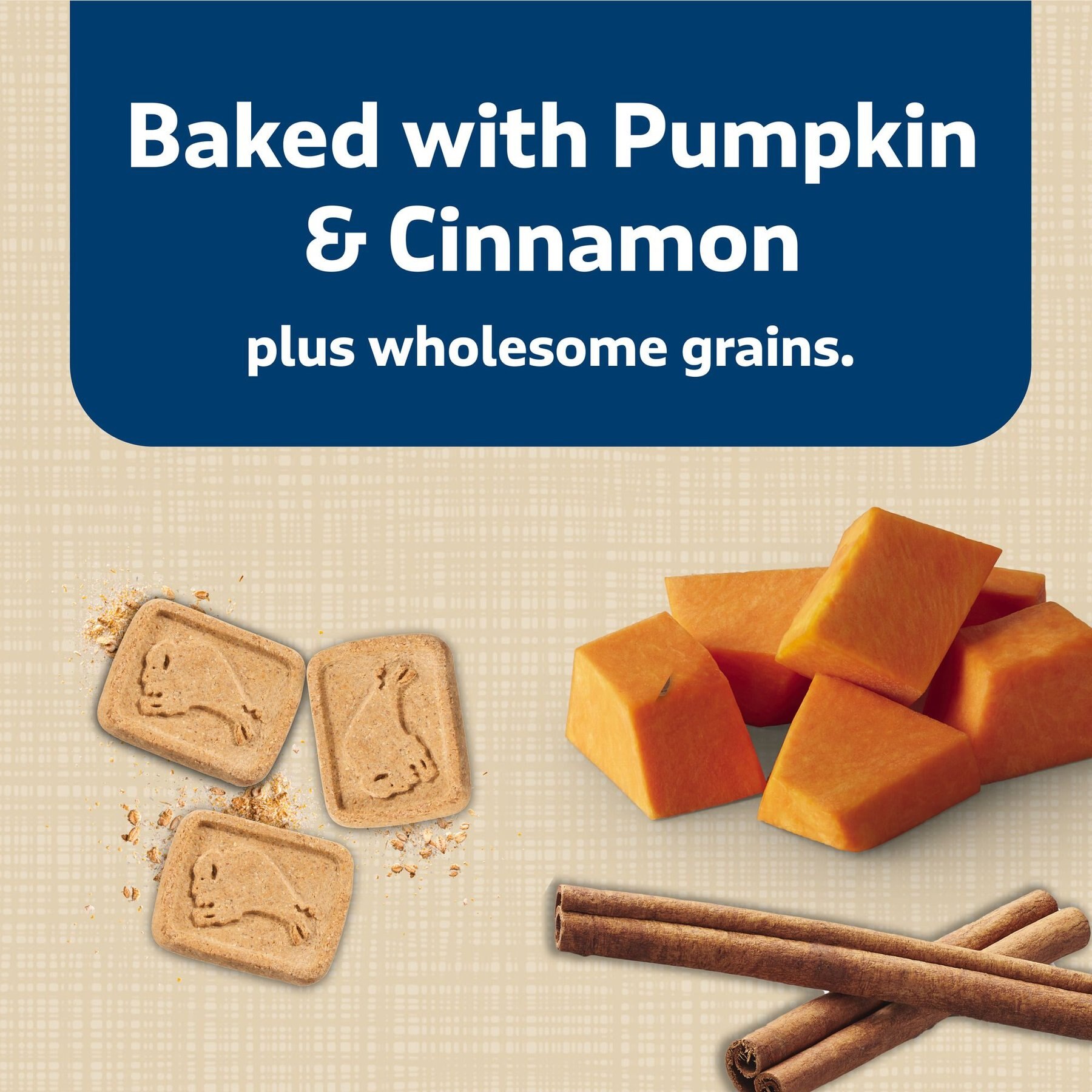 Blue Buffalo Health Bars Baked with Pumpkin & Cinnamon Dog Treats