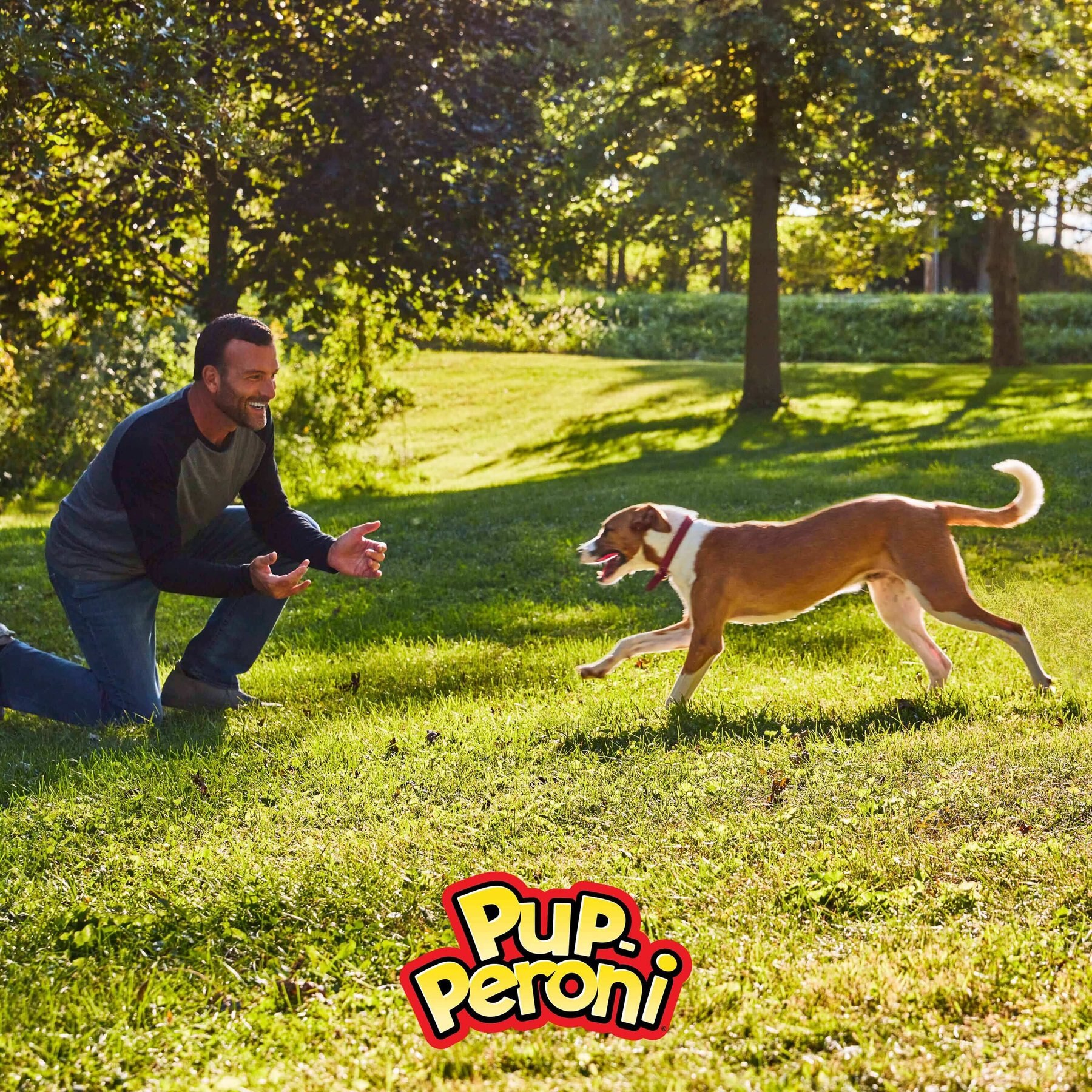 Pup-Peroni Real Sausage Maplewood Smoke Flavor Dog Treats