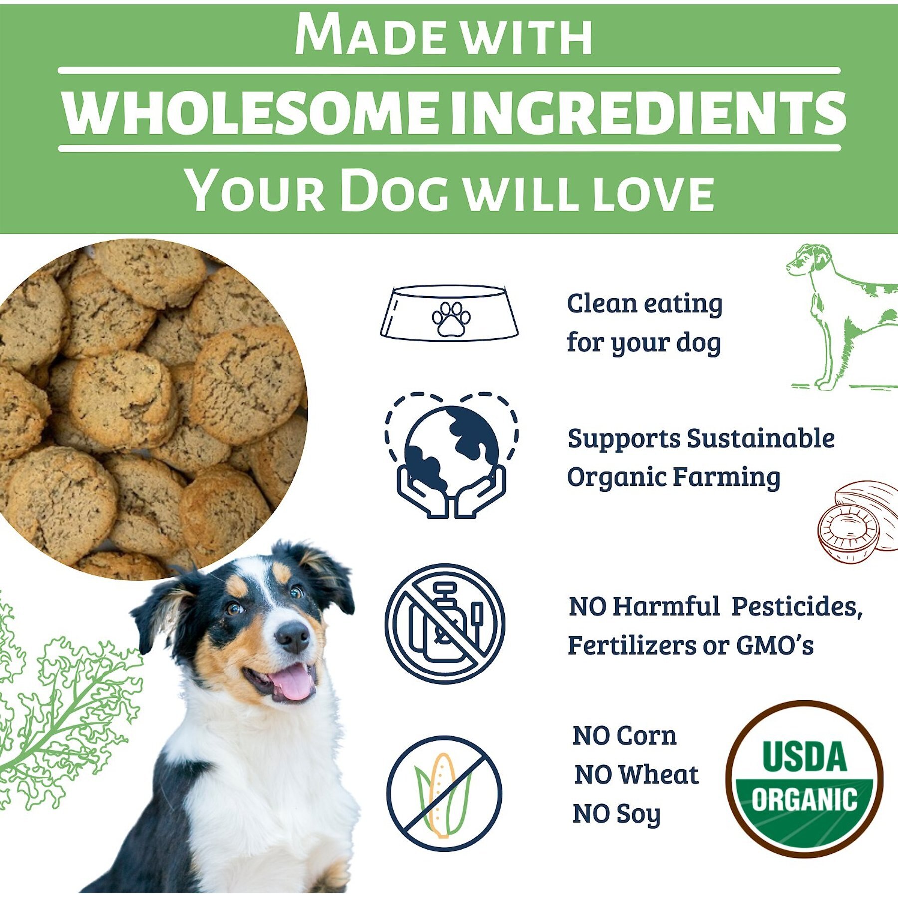 Dog Mamma’s Organic Sweet Potato & Kale Bites Dog Treats