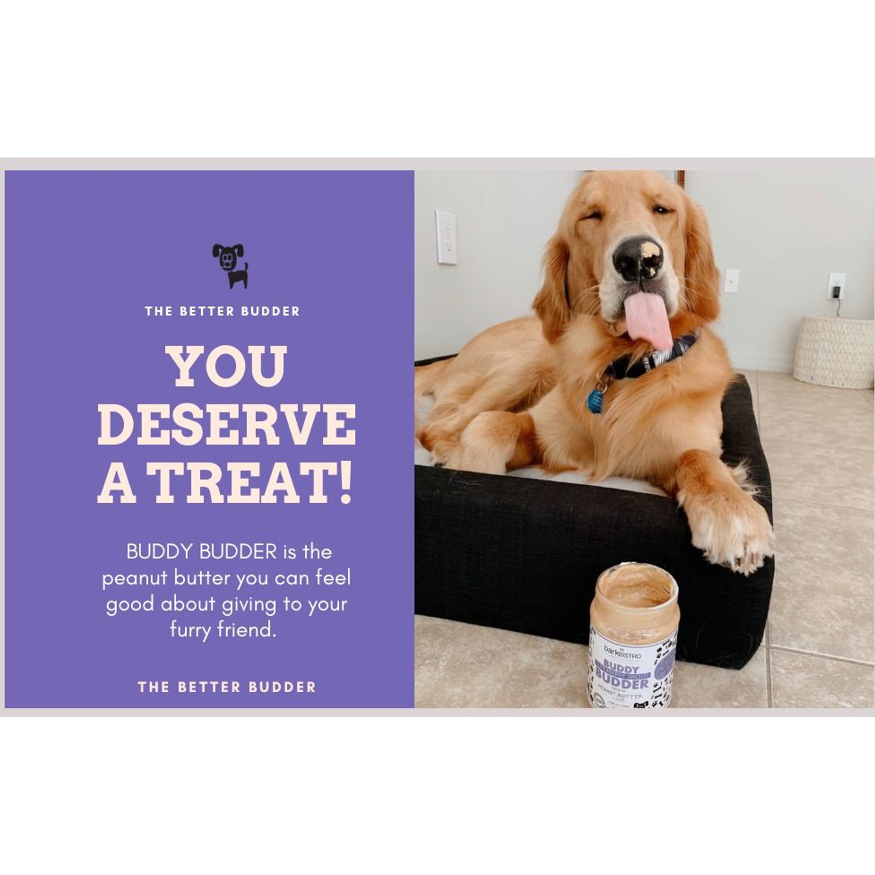 Bark Bistro Company Buddy Budder Superberry Snoot Peanut Butter Lickable Dog Treat, 17-oz jar
