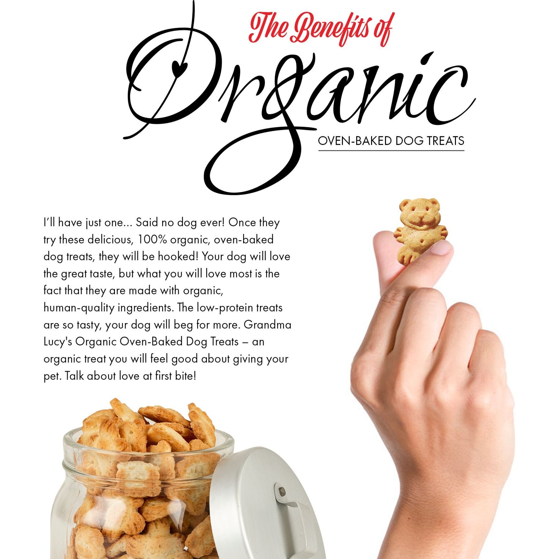 Grandma Lucy's Organic Apple Oven Baked Dog Treats