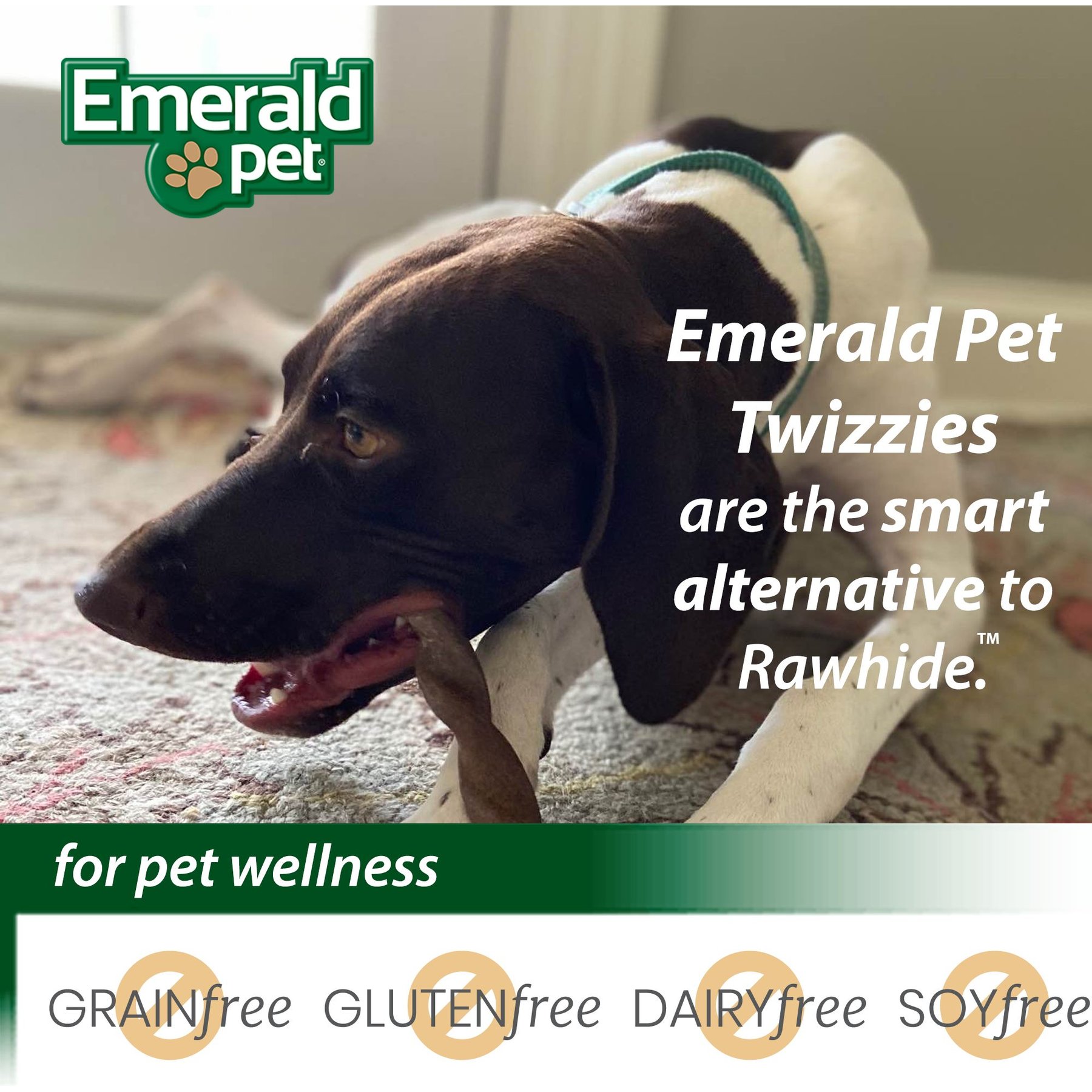 Emerald Pet Peanutty Twizzies Grain-Free Dog Treats