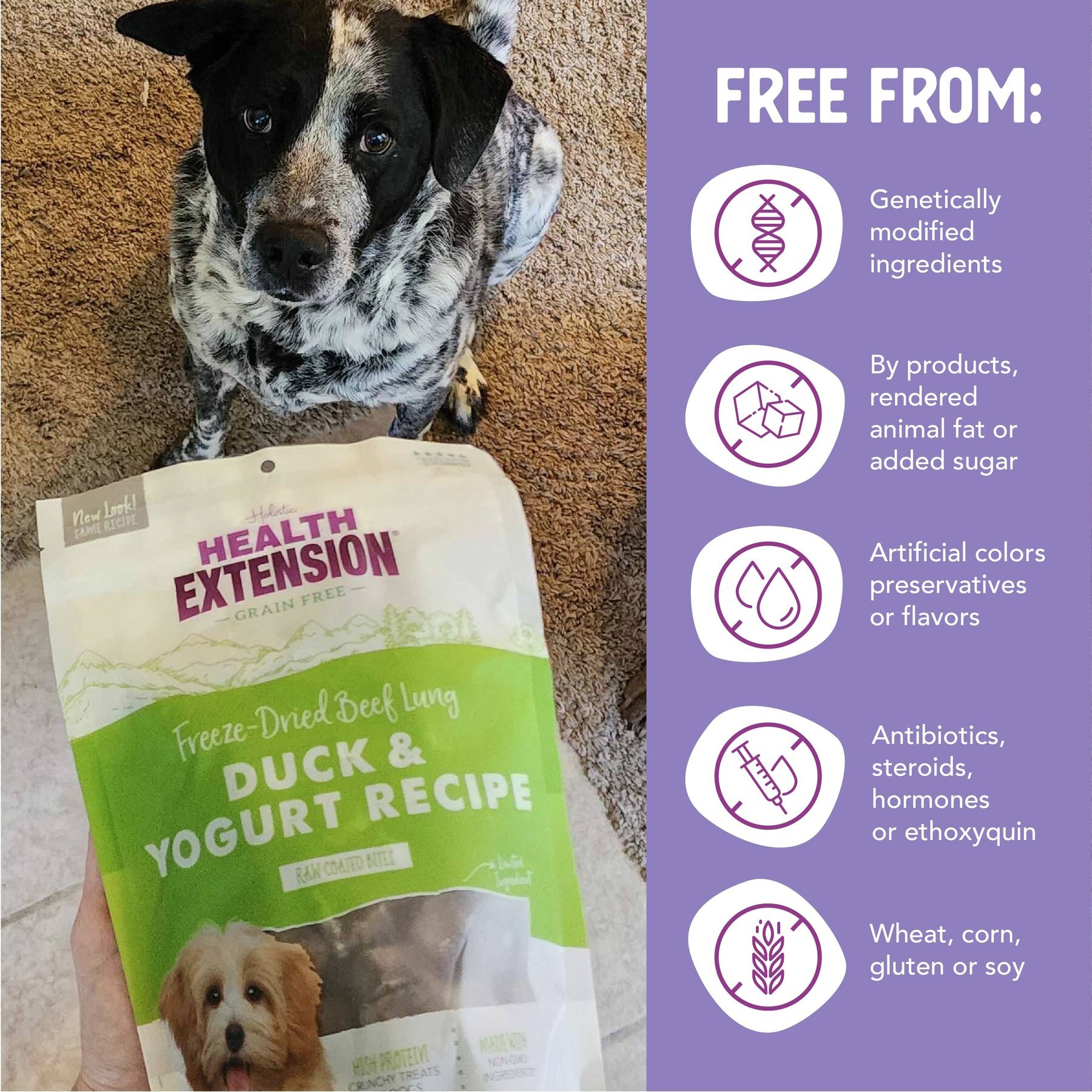 Health Extension Bully Puffs Grain-Free Duck & Yogurt Dog Treats